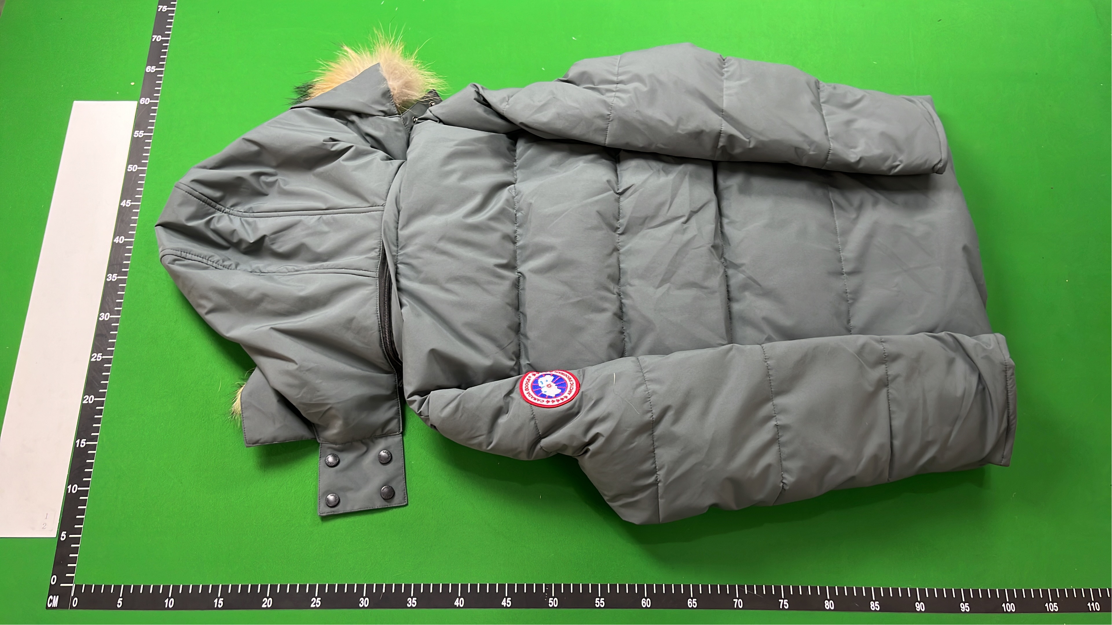 Canada Goose Down Jacket with Fur Trim Hood
