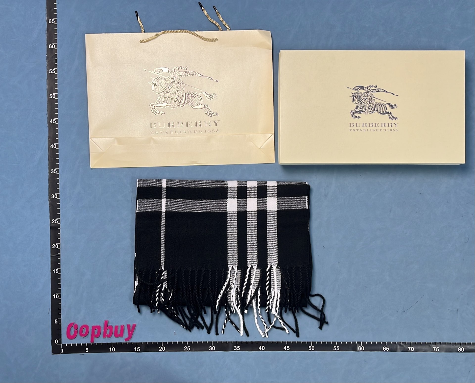 Burberry Classic Check Cashmere Scarf in Multiple Colors