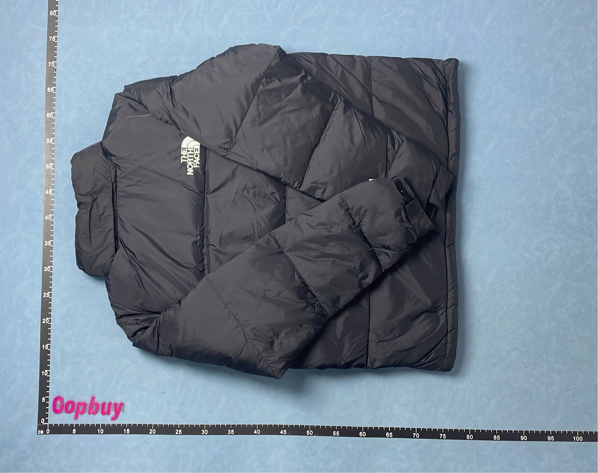 Moncler Black Puffer Jacket with Hood