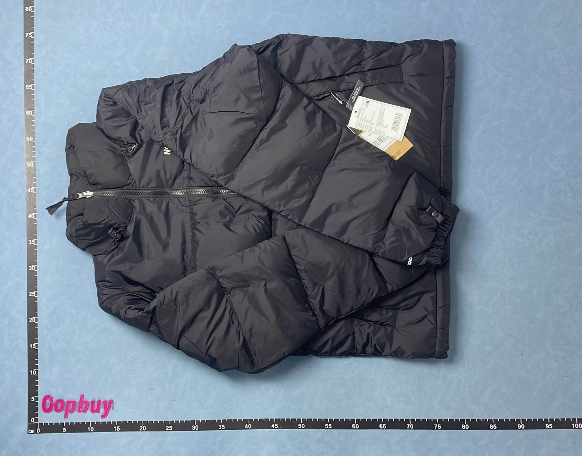 Moncler Black Puffer Jacket with Hood