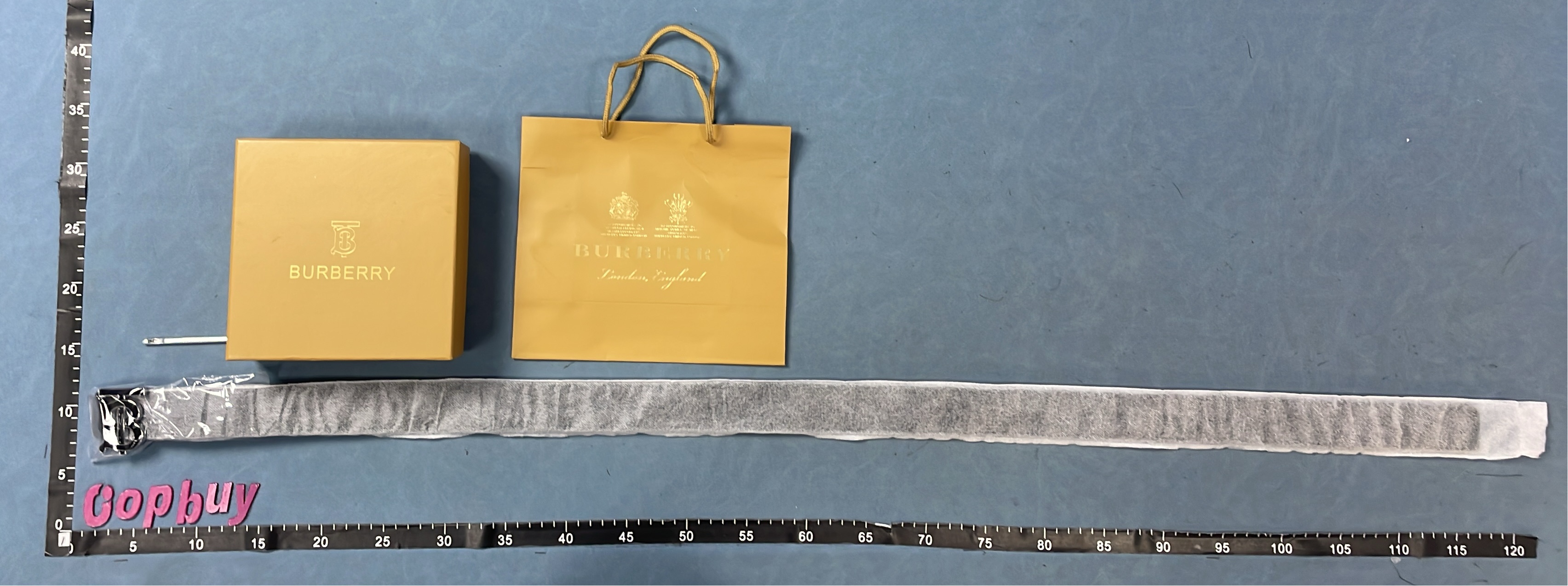 Burberry Monogram Belt with Gold Buckle