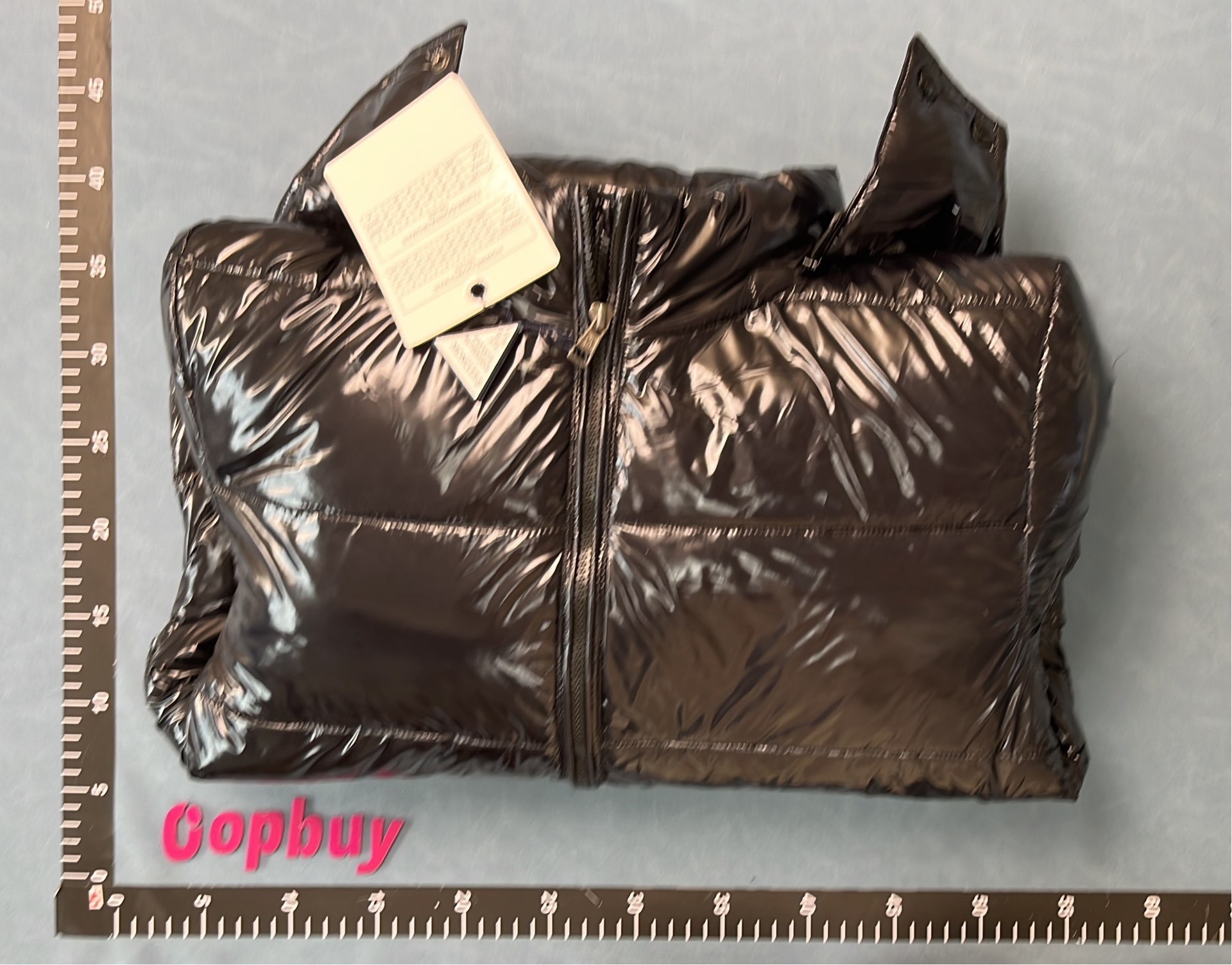 Moncler Black Puffer Jacket with Hood