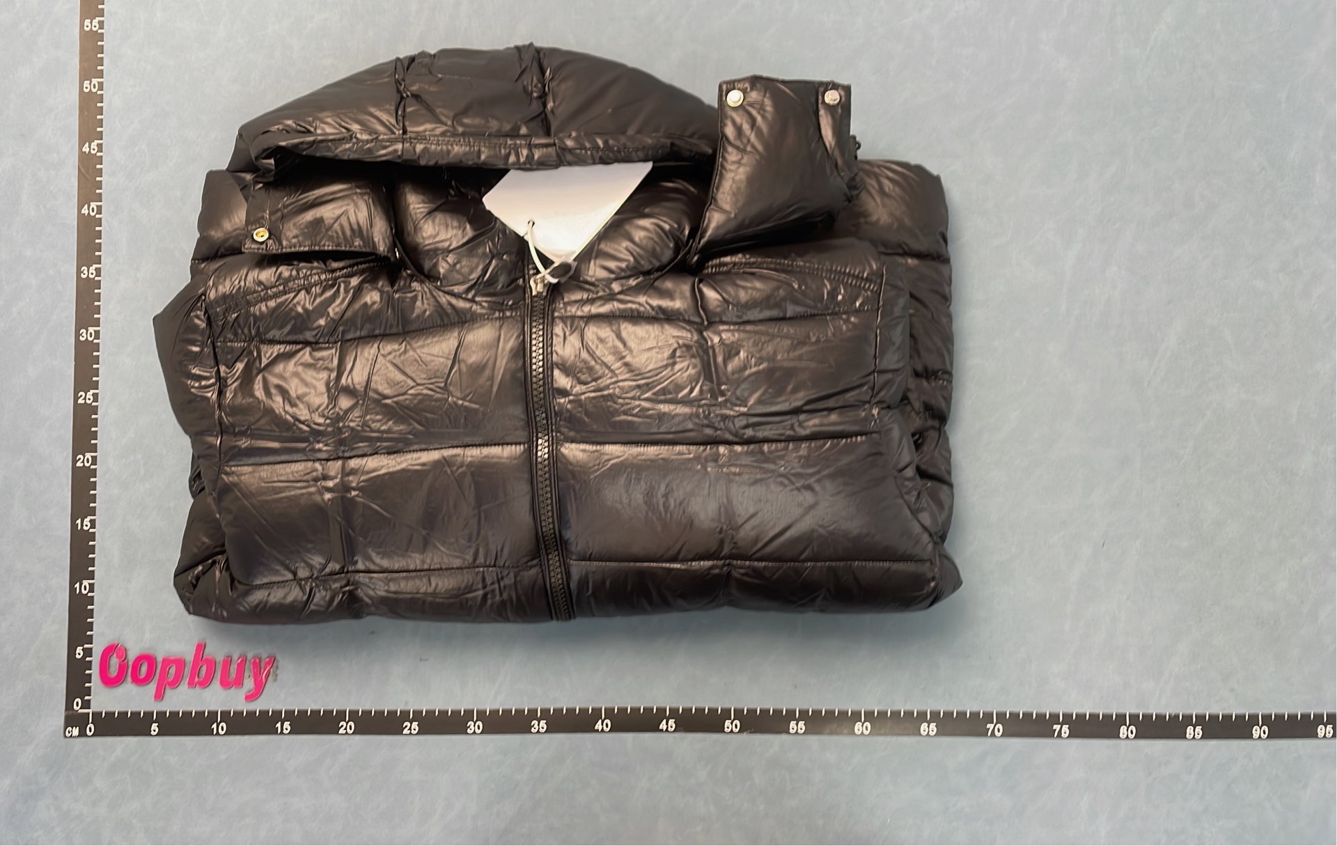 Moncler Down Jacket for Women - Lightweight Winter Coat with Hood