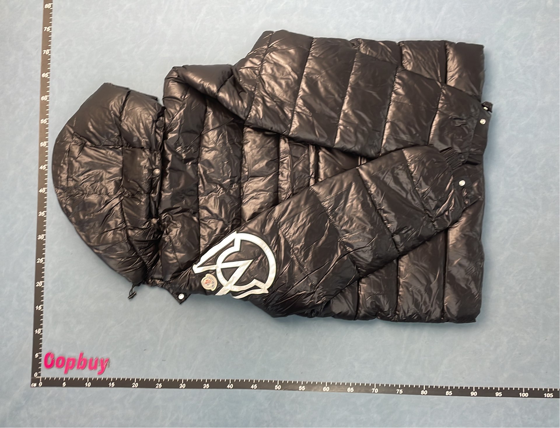 Moncler Down Jacket for Women - Lightweight Winter Coat with Hood