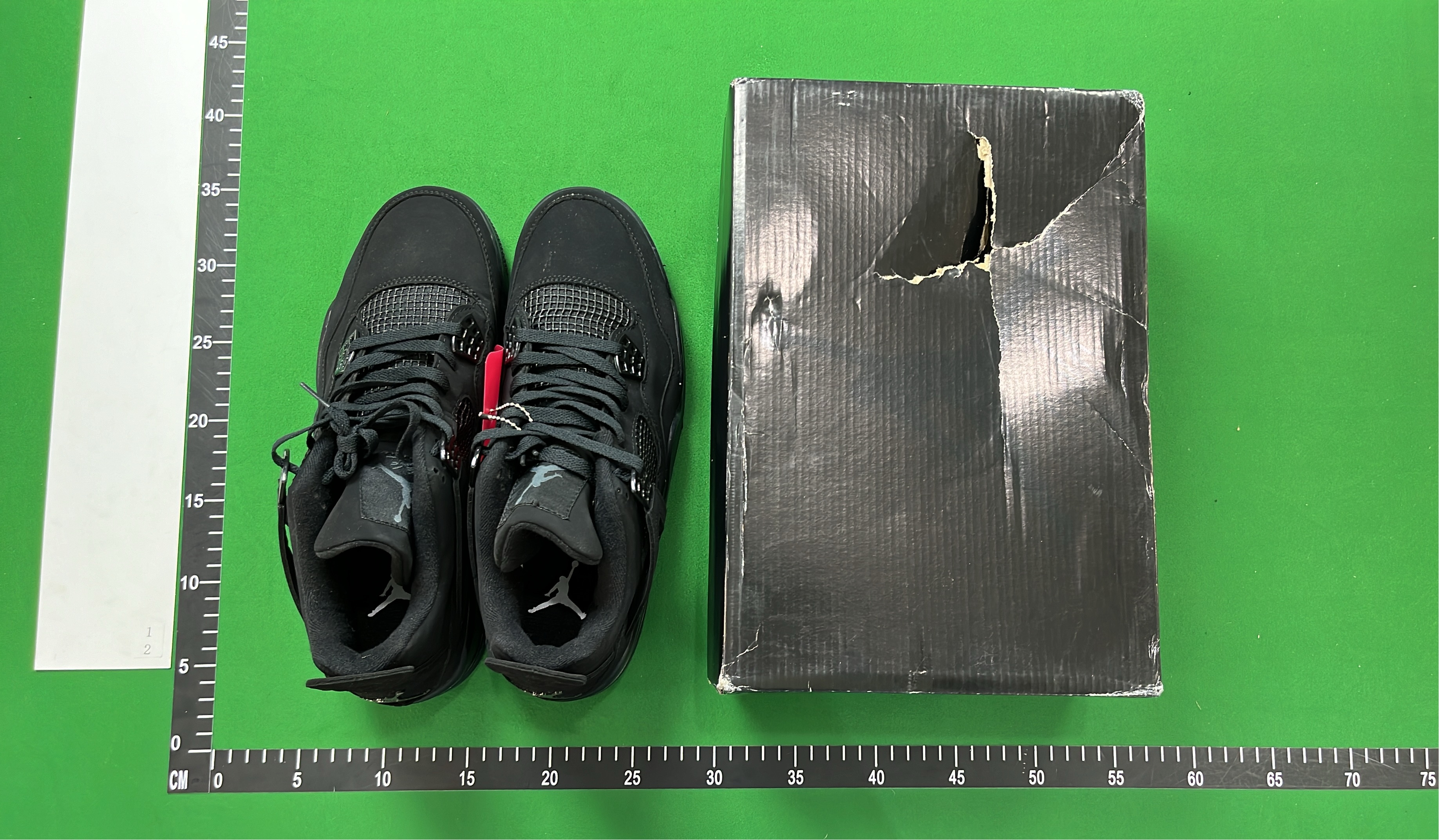 Air Jordan 4 Retro Pure Original Collection