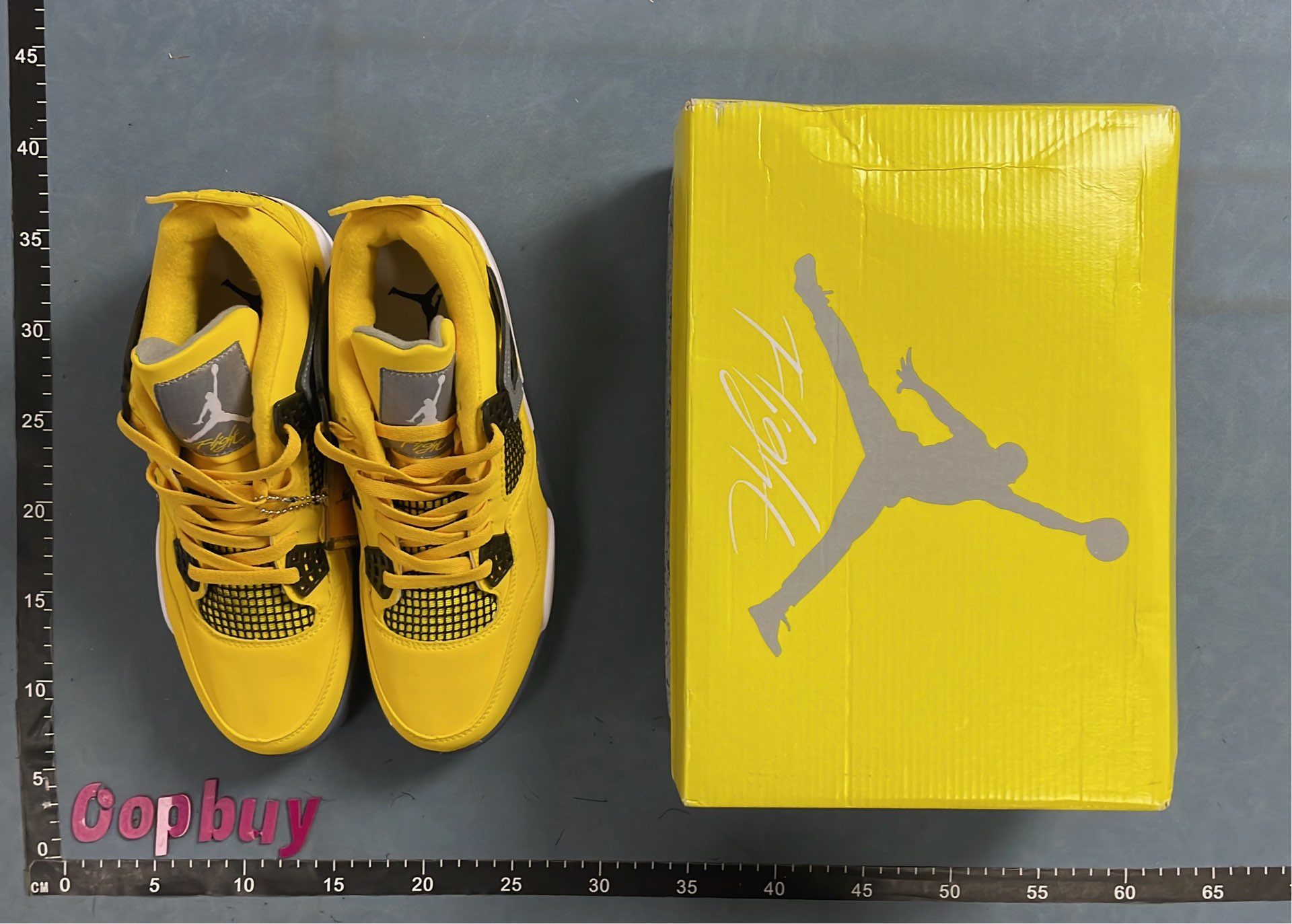 Air Jordan 4 Retro Pure Original Collection