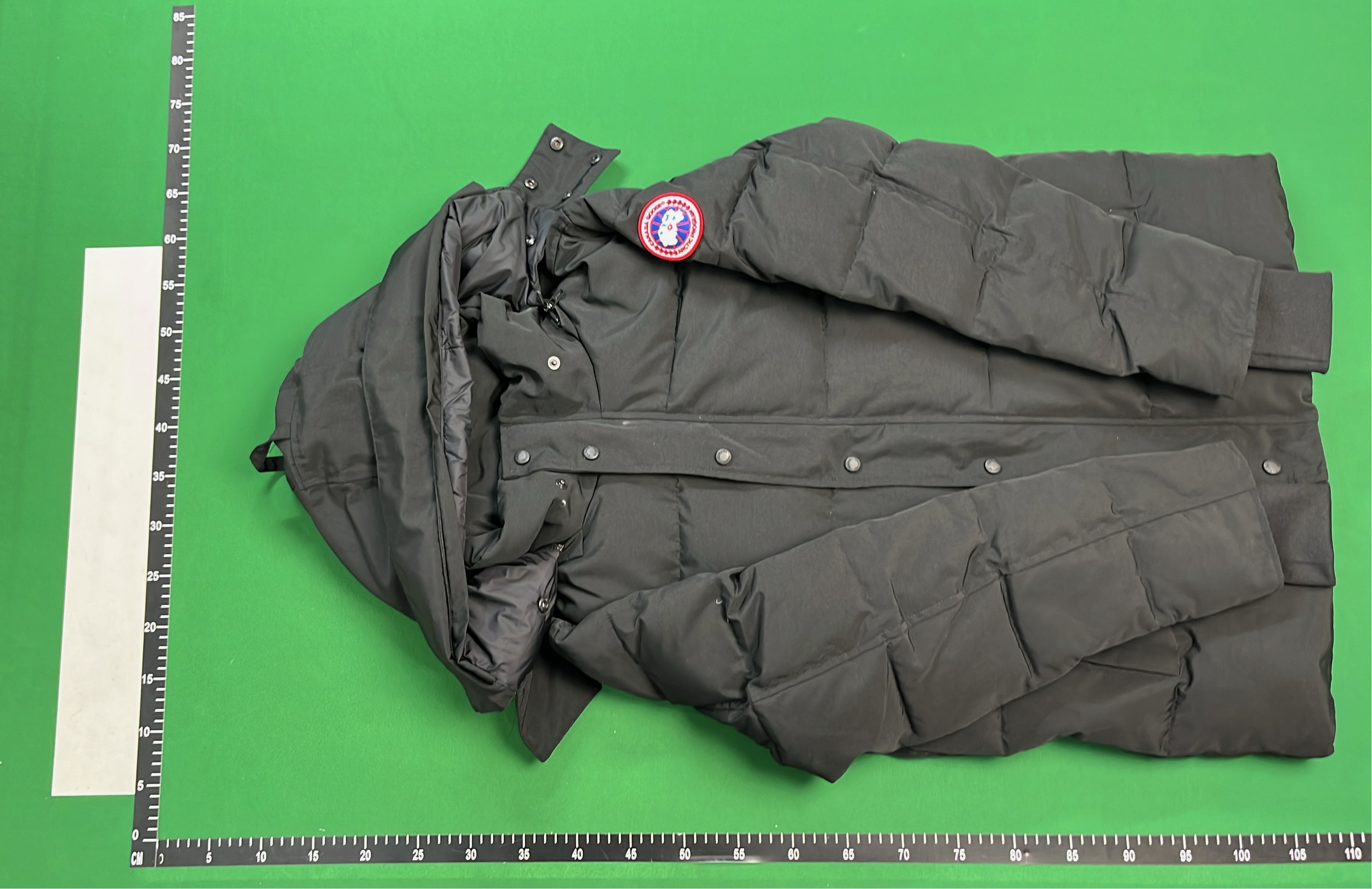 Canada Goose Expedition Parka with Fur Trim Hood