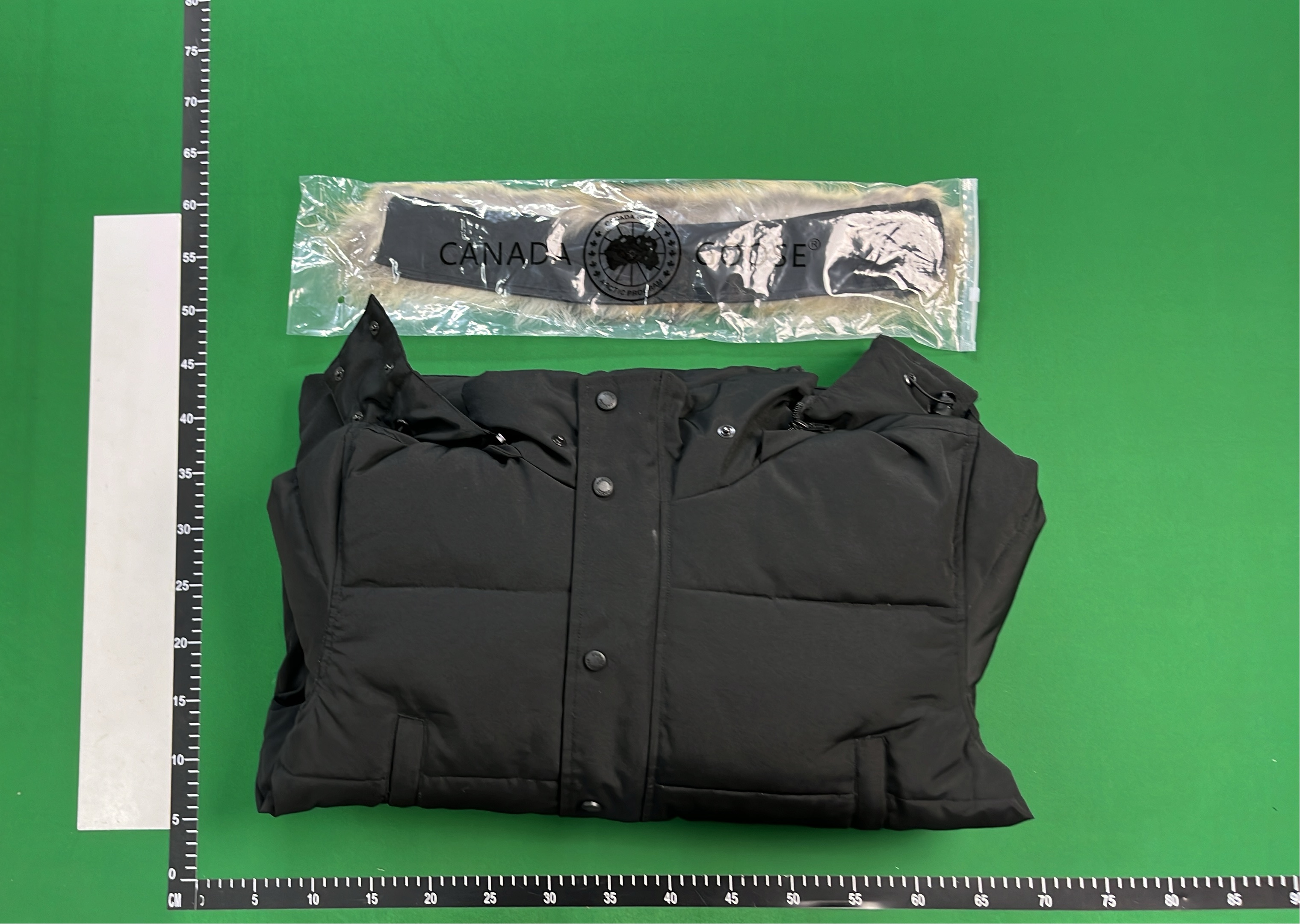 Canada Goose Expedition Parka with Fur Trim Hood