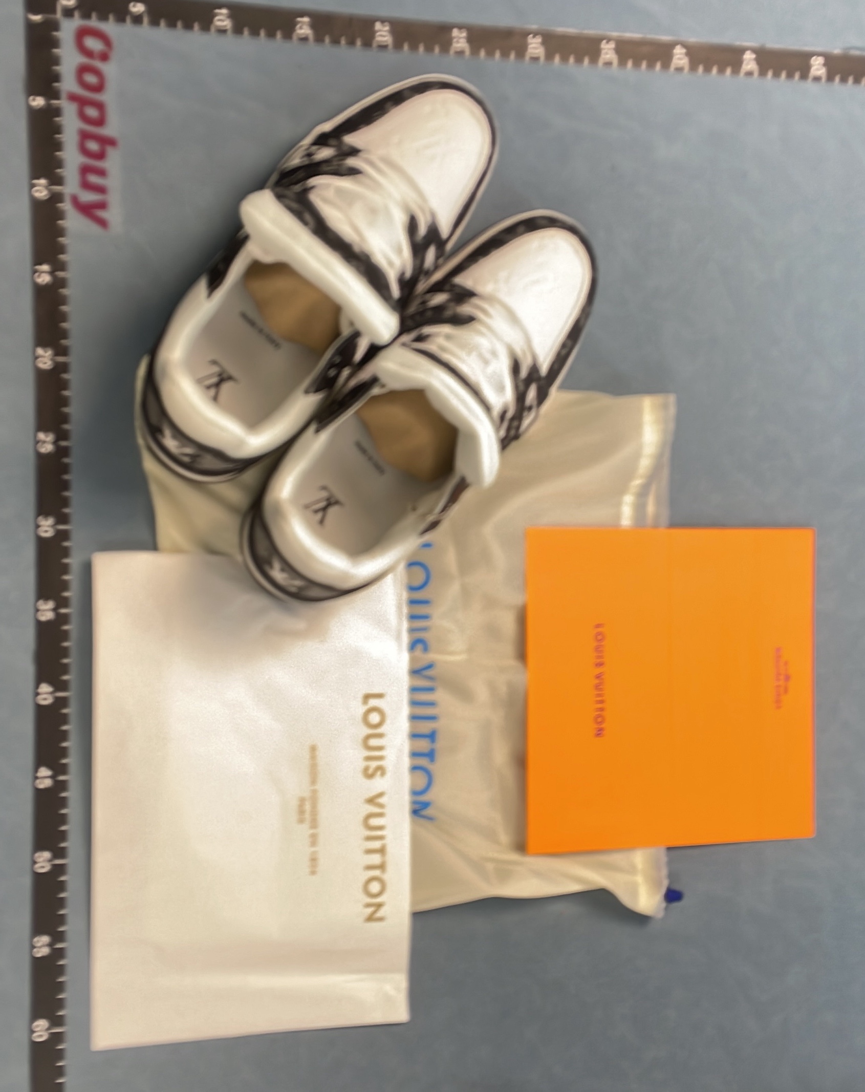 Louis Vuitton Men's Monogram Canvas Sneakers