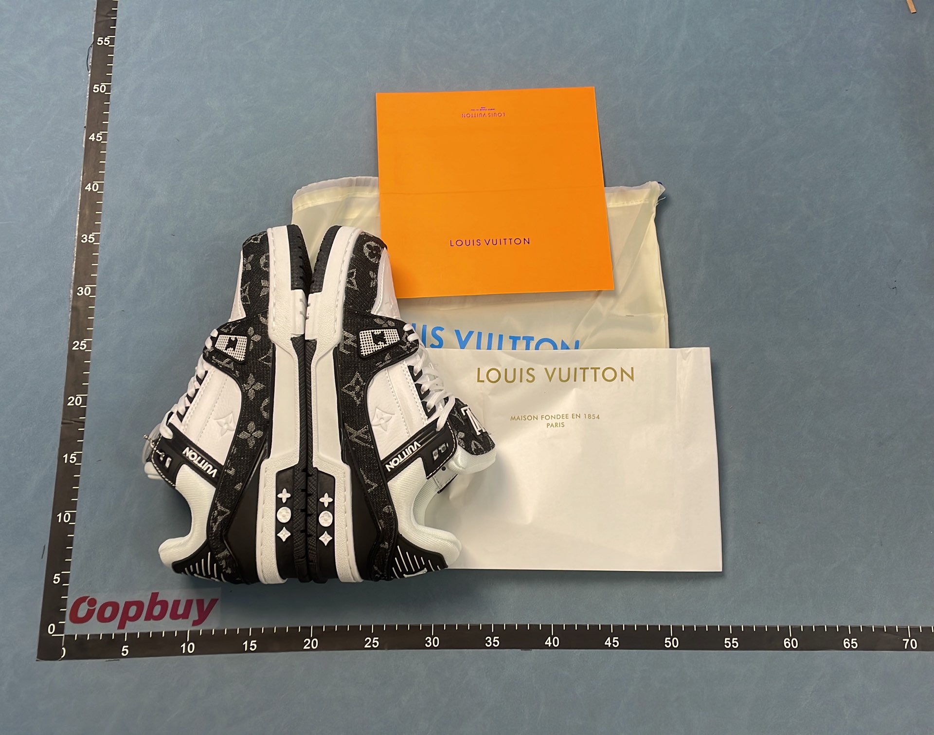 Louis Vuitton Men's Monogram Canvas Sneakers