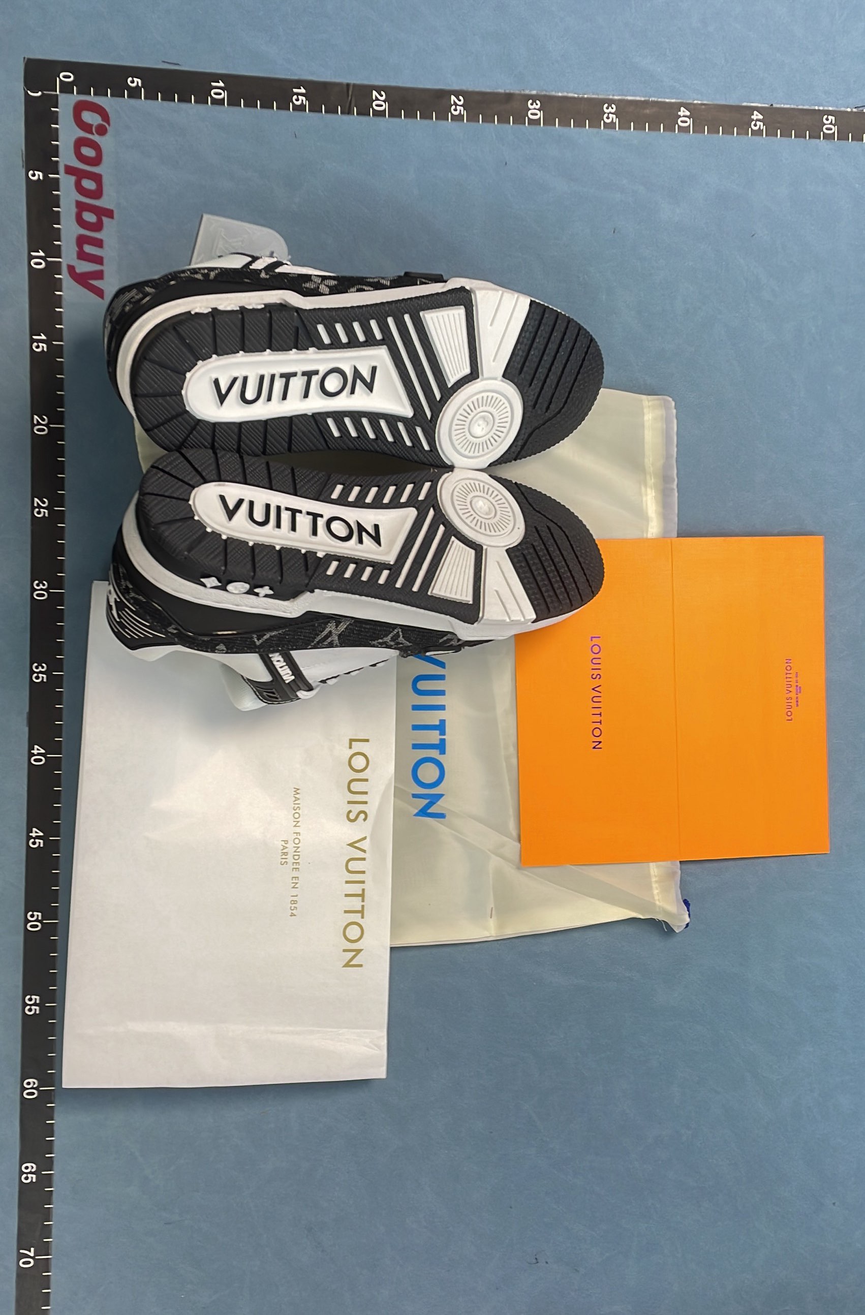 Louis Vuitton Men's Monogram Canvas Sneakers