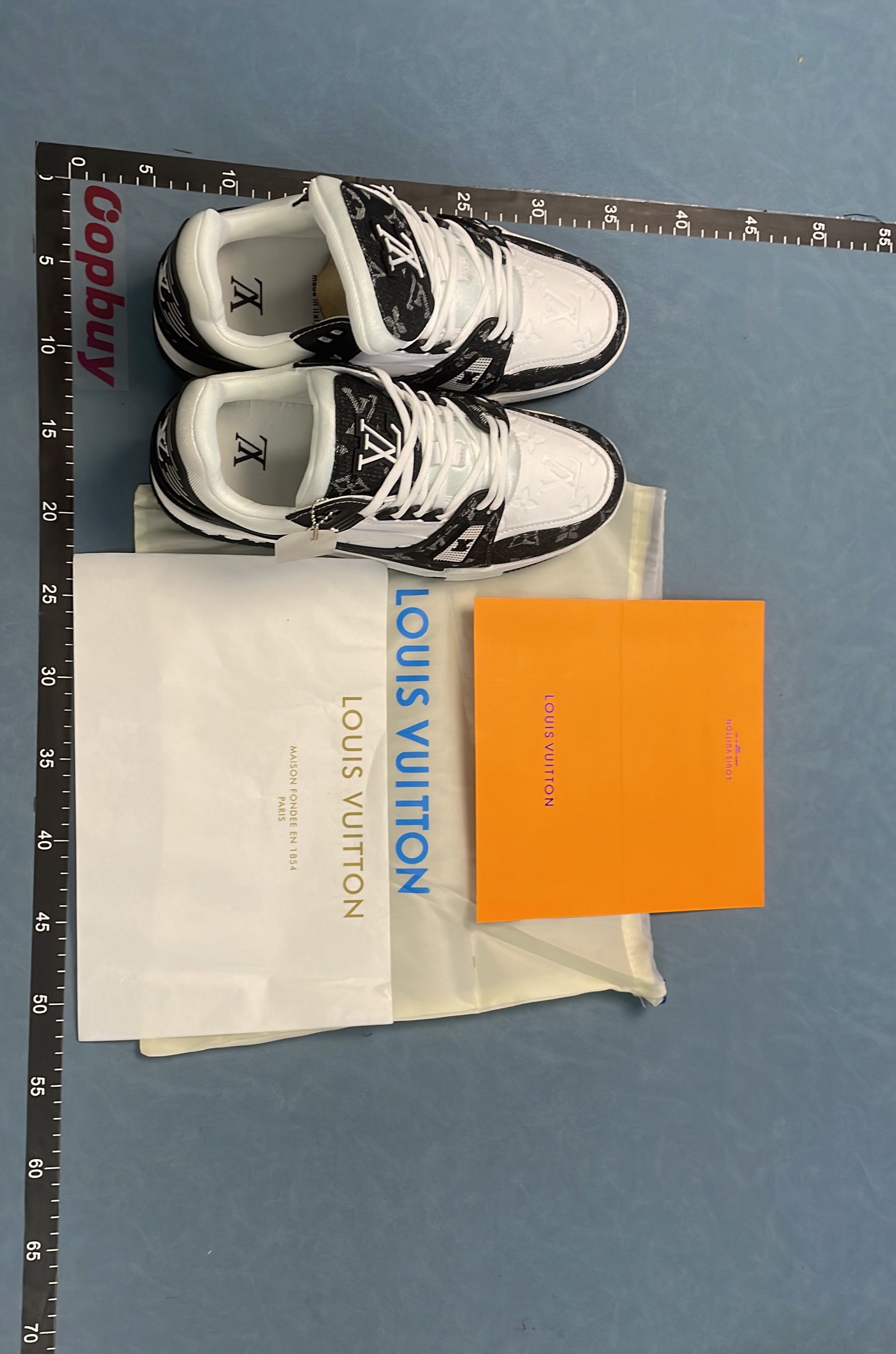 Louis Vuitton Men's Monogram Canvas Sneakers