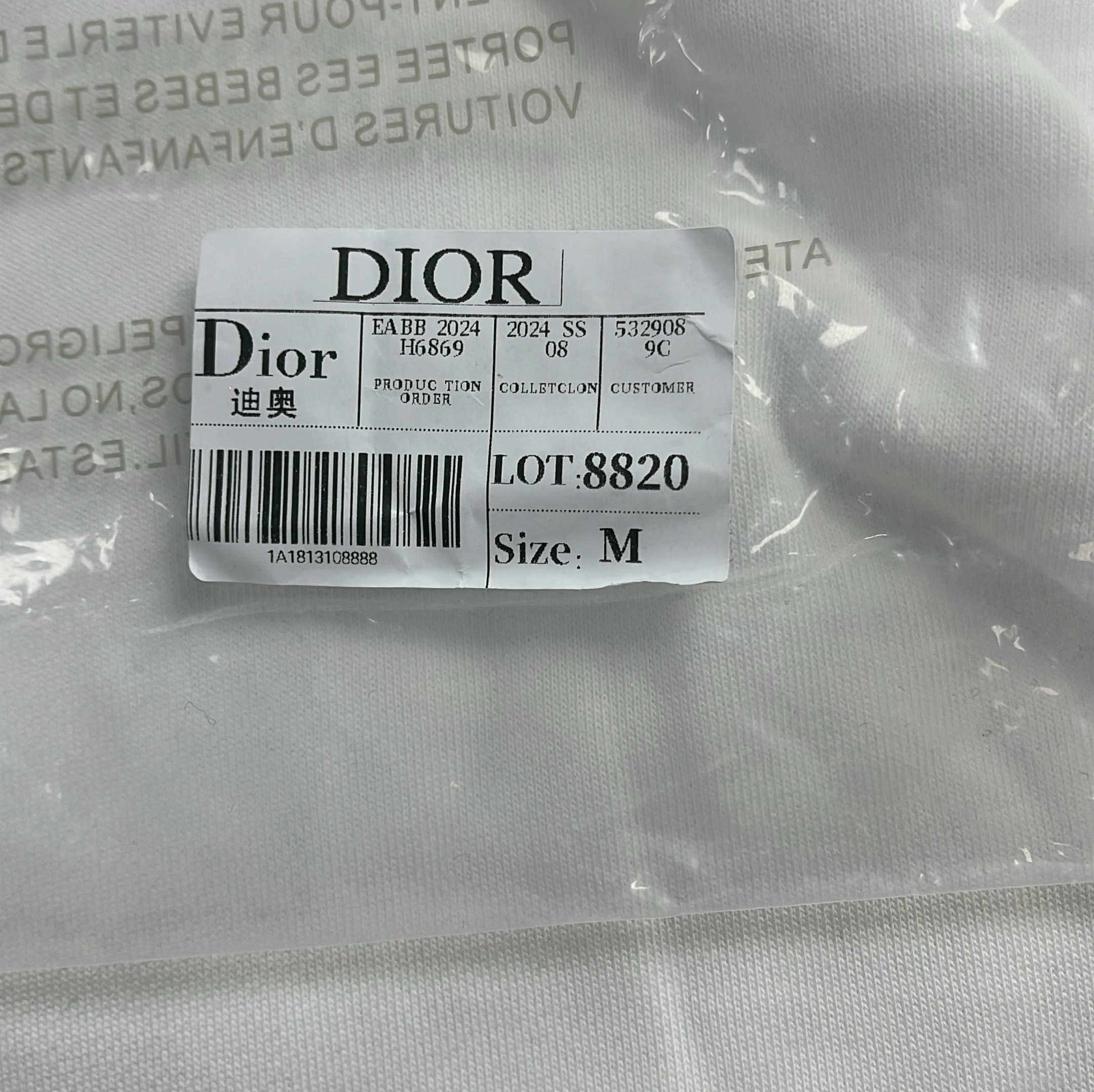 Dior Gray Hoodie with Logo Embroidery