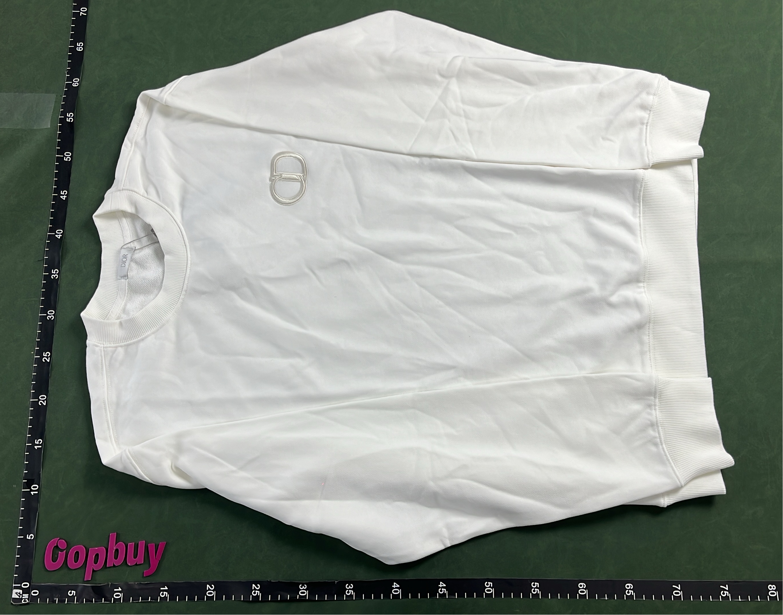 Dior Gray Hoodie with Logo Embroidery