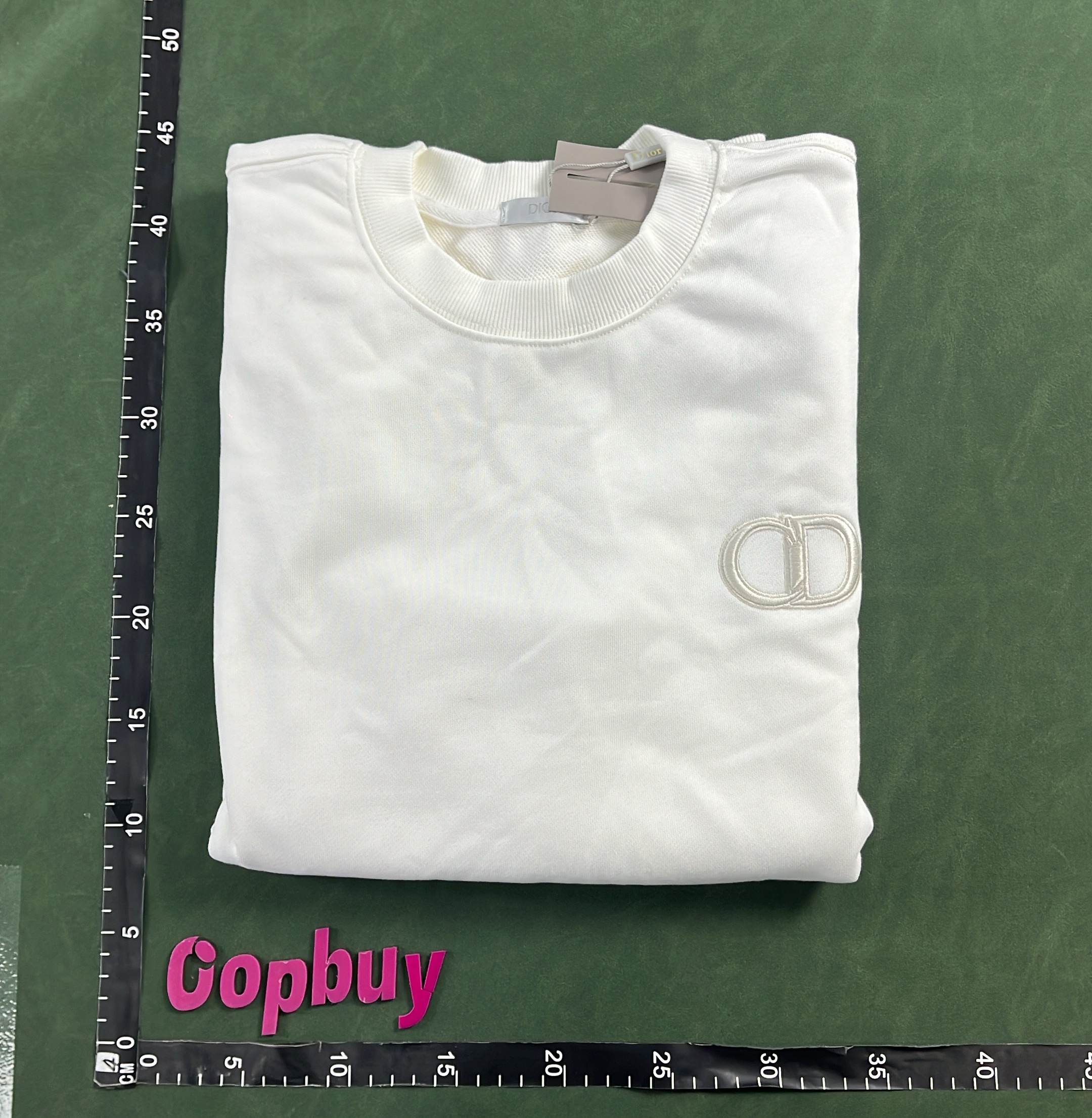 Dior Gray Hoodie with Logo Embroidery