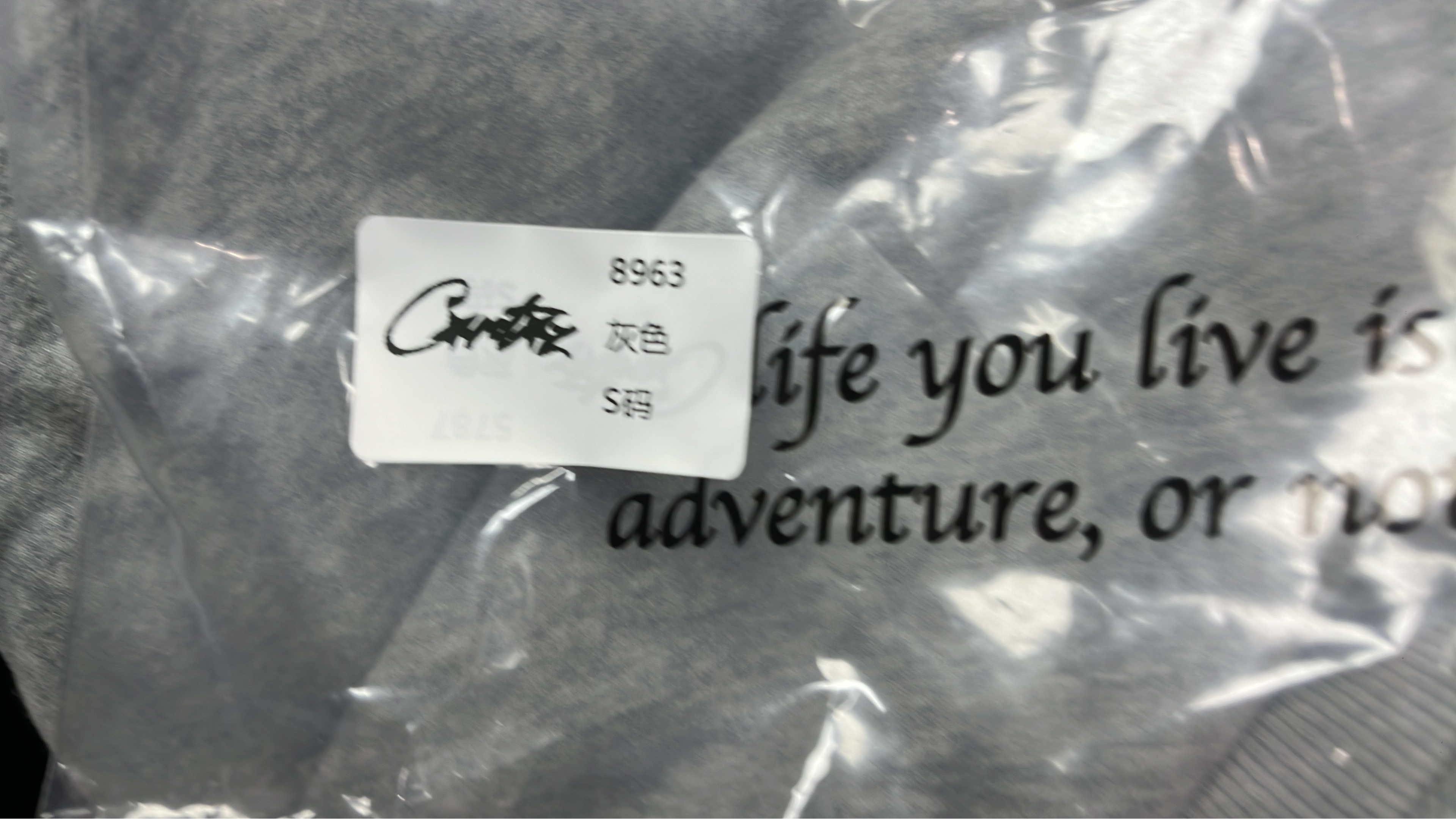 Carhartt Grey Sweatpants with Embroidered Logo
