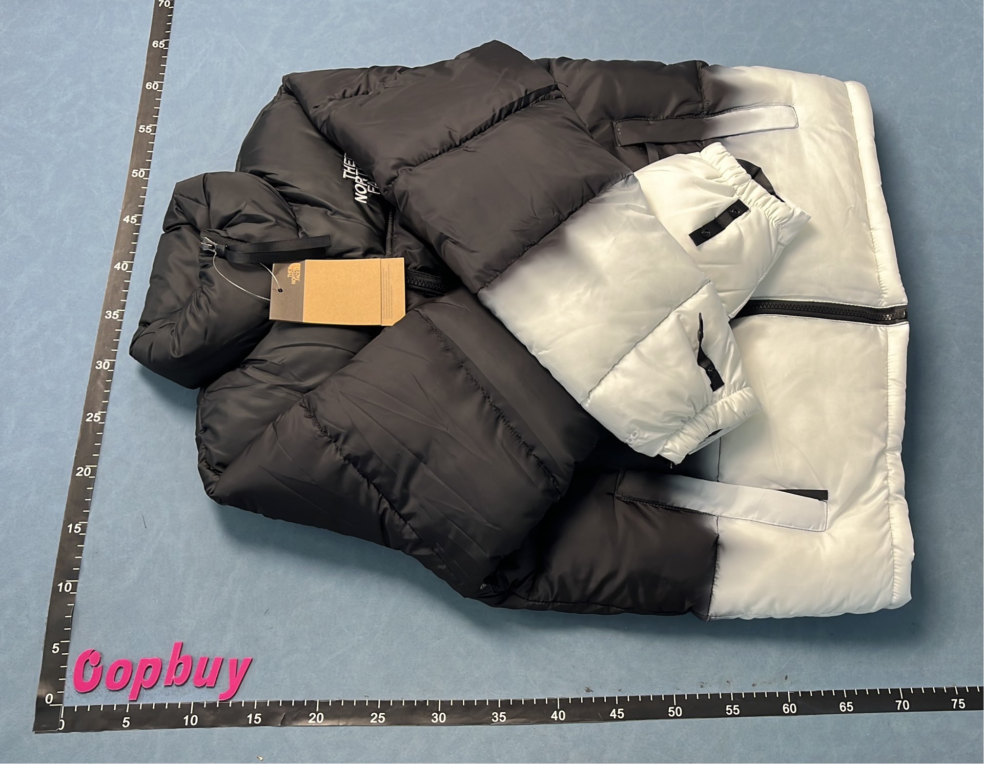 Moncler Men's Down Jacket with Mountain Print Design