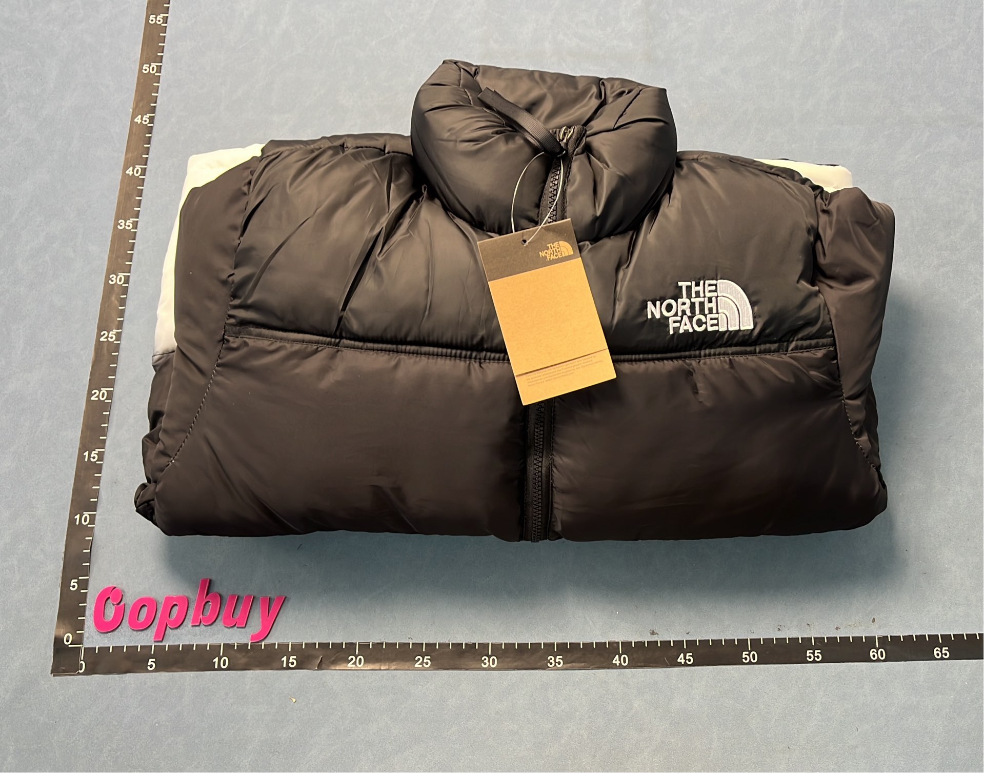 Moncler Men's Down Jacket with Mountain Print Design