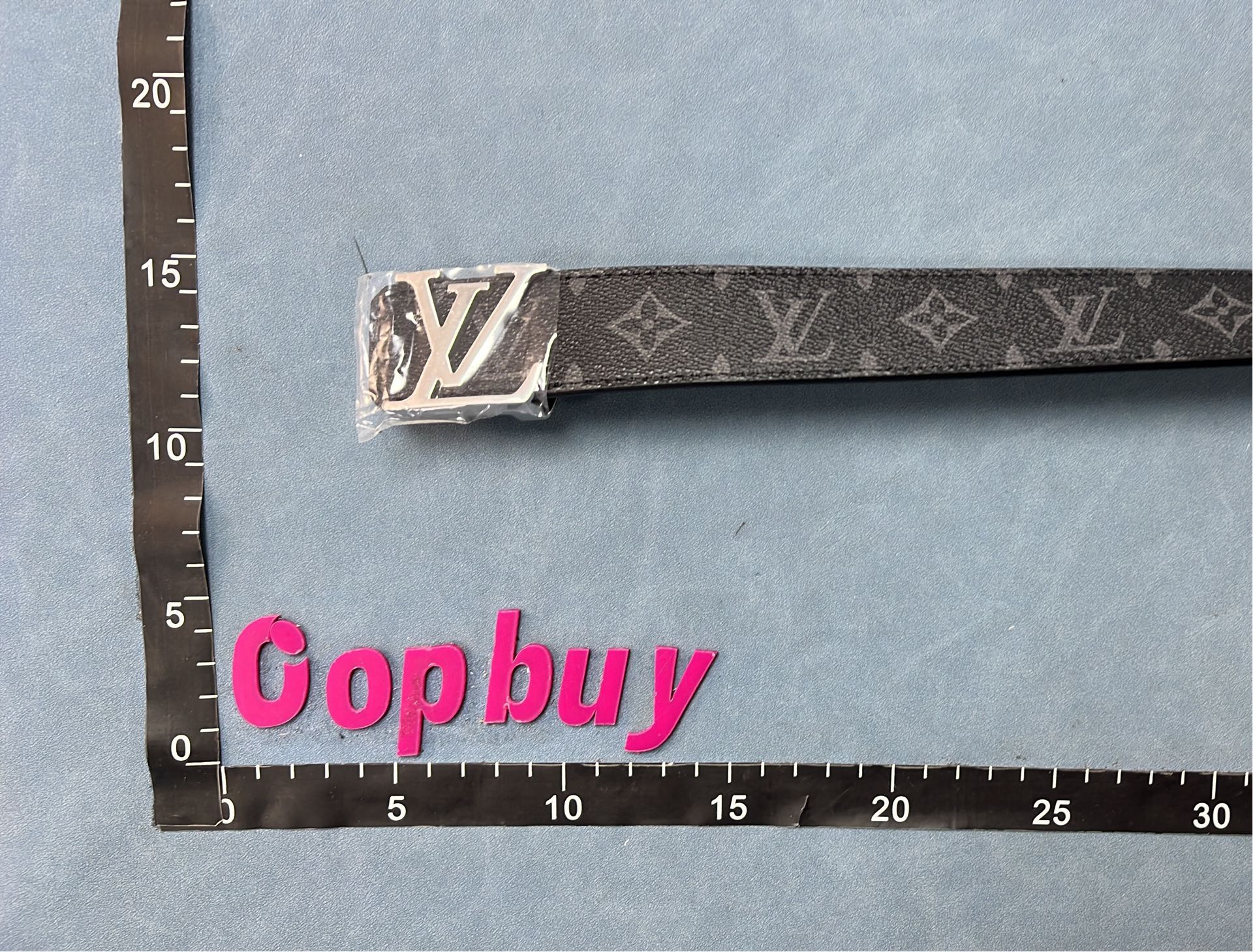 Louis Vuitton LV Monogram Belt with Gold Tone Buckle