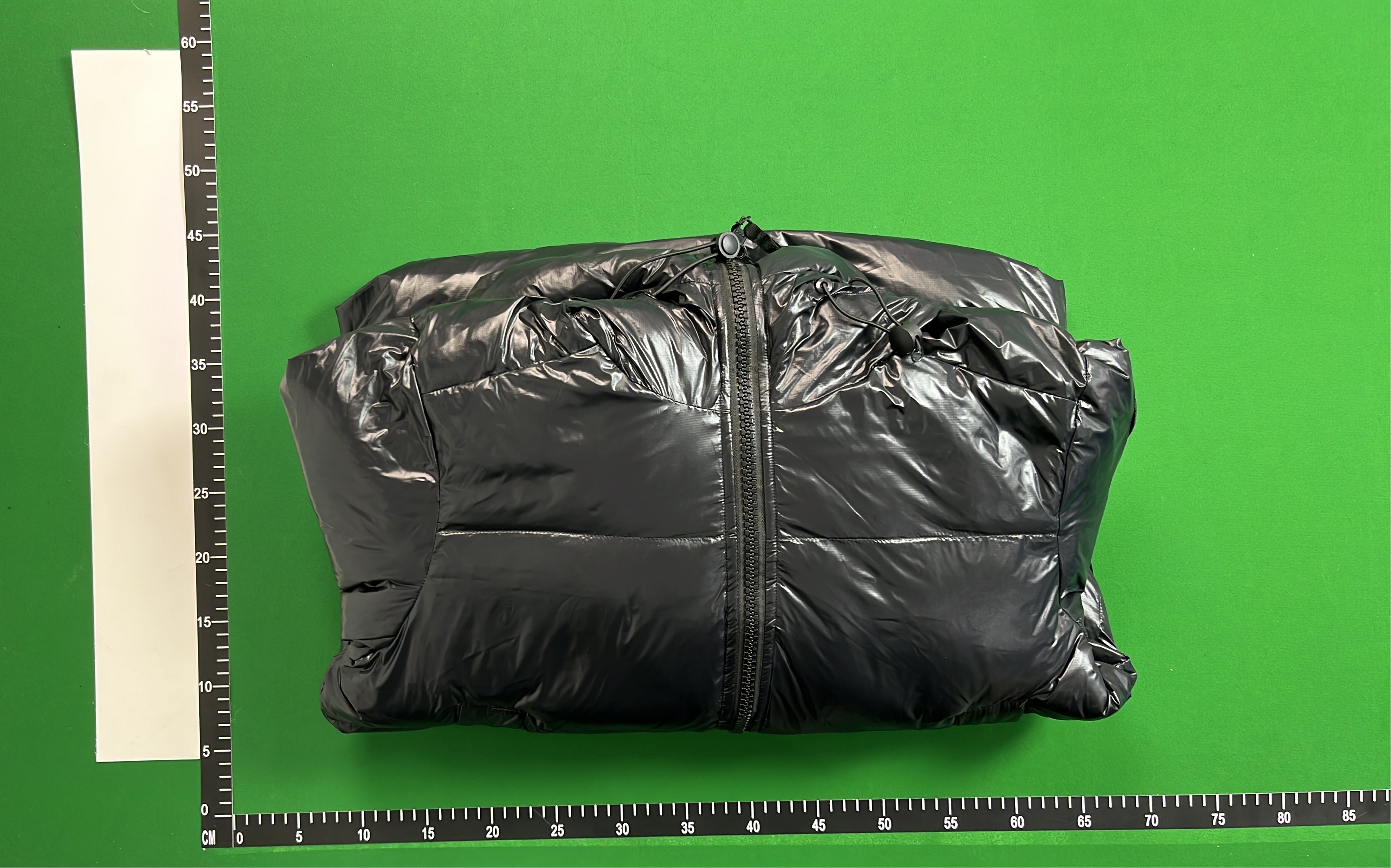 Canada Goose Down Jacket with Hood