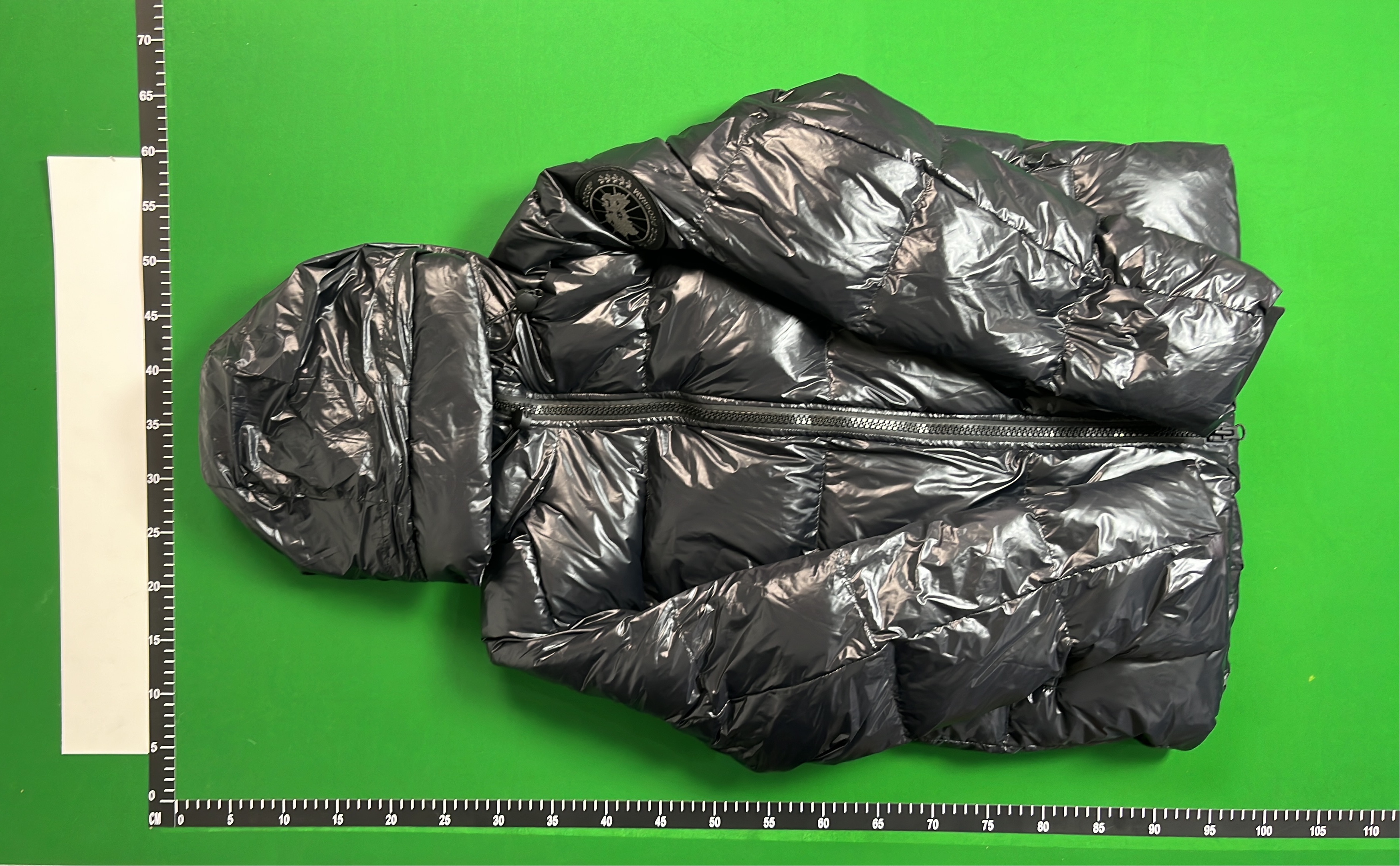 Canada Goose Down Jacket with Hood