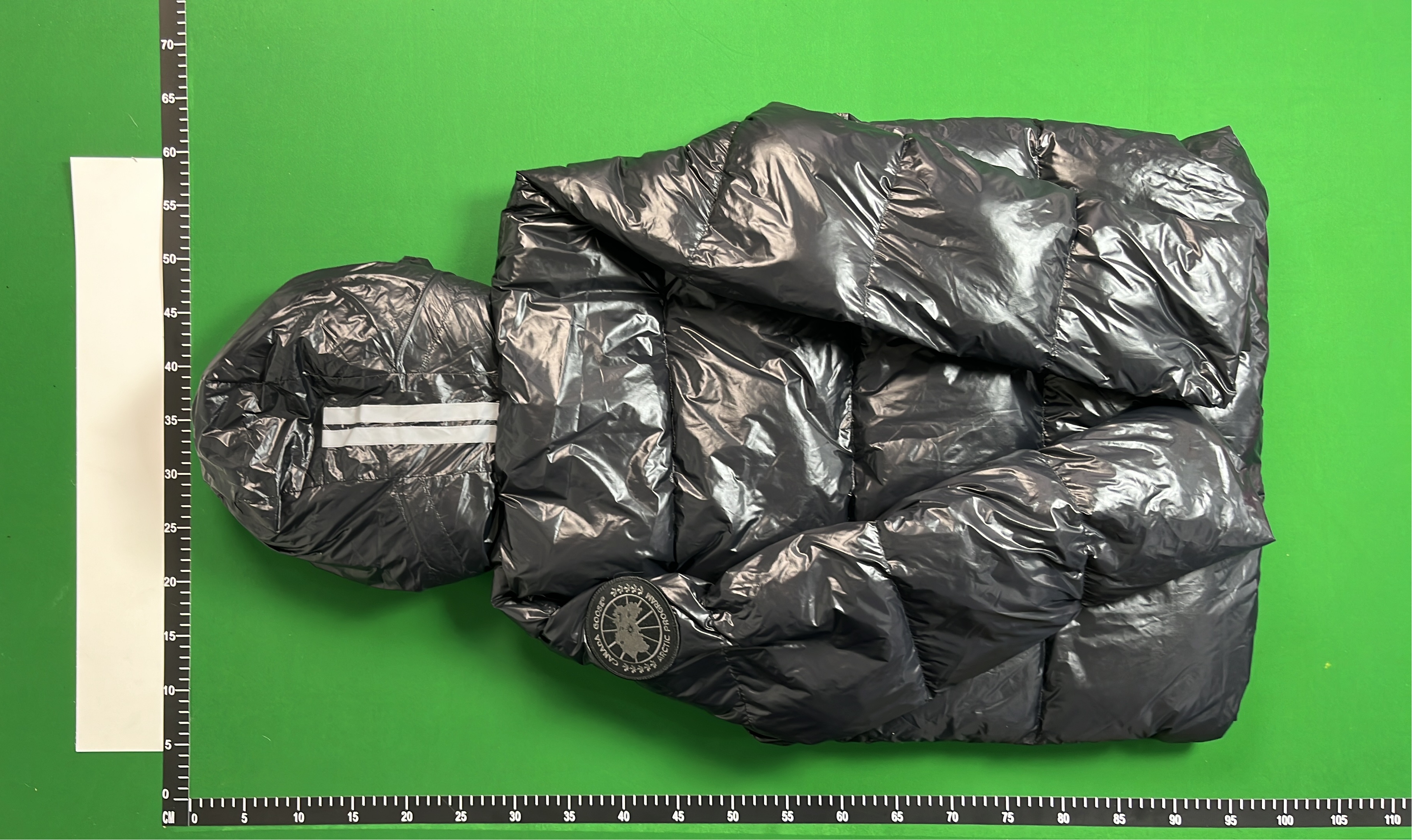 Canada Goose Down Jacket with Hood