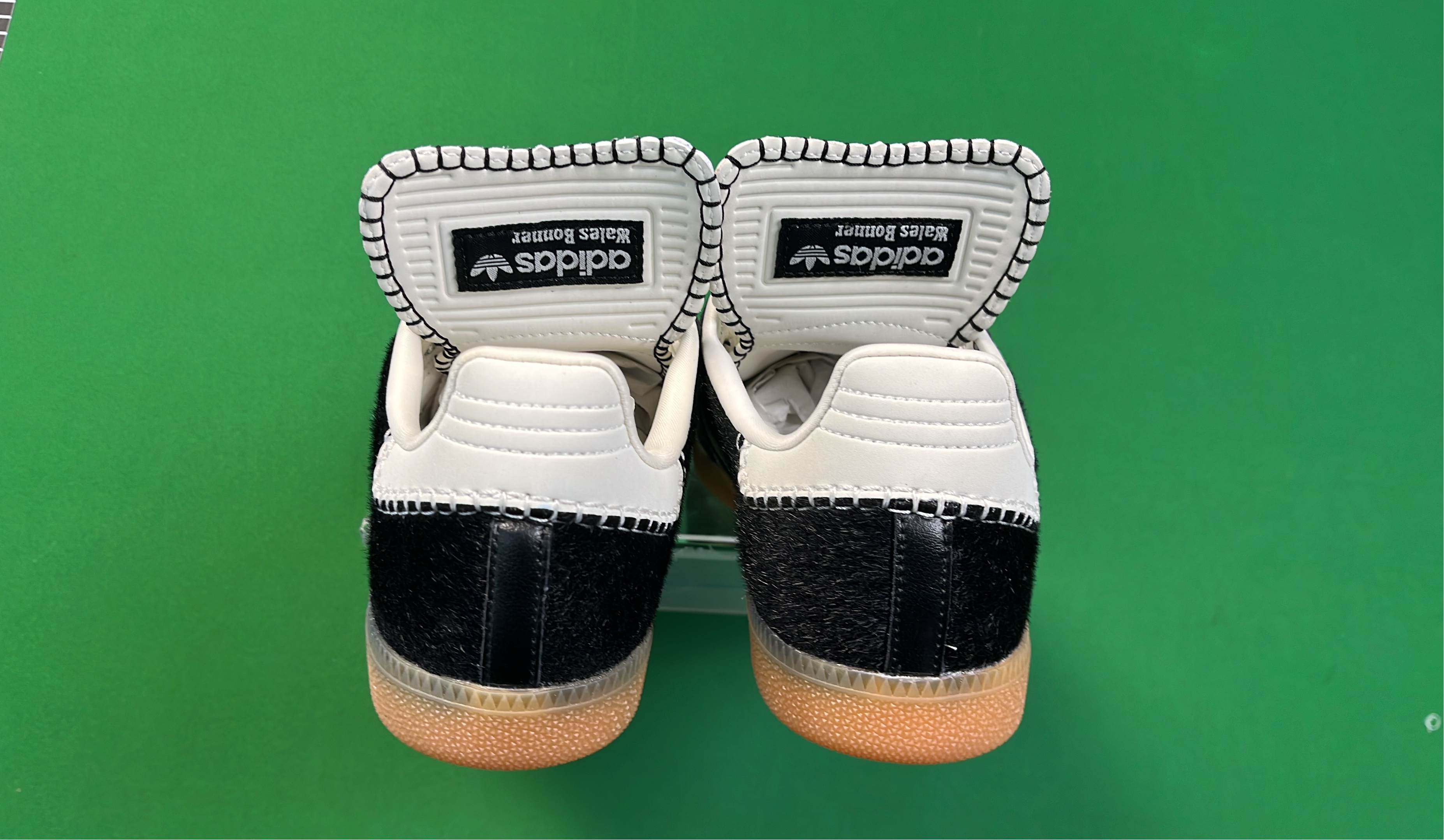 God Bachth Samba Shoes Shark Breeder Edition
