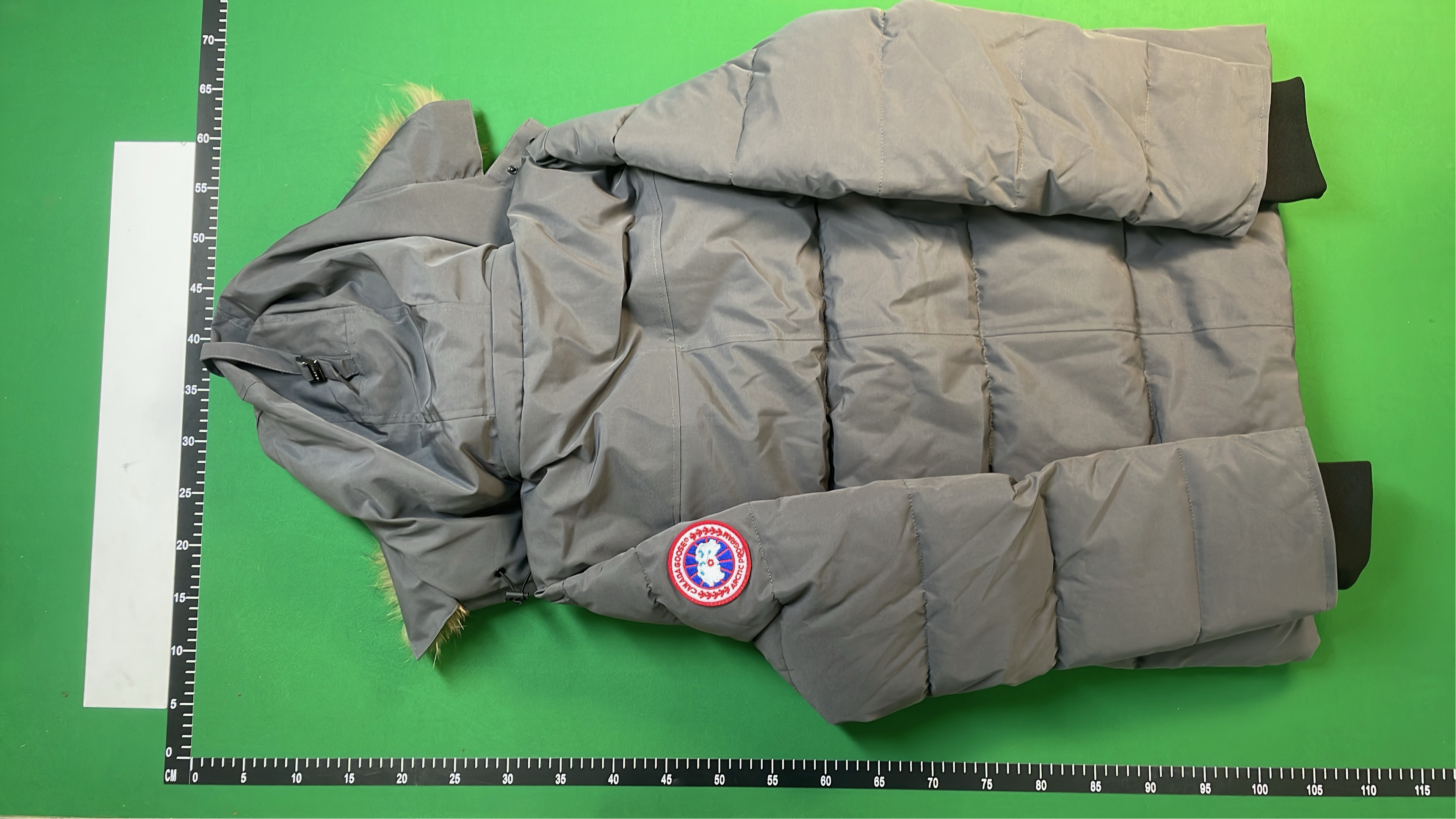 Canada Goose Down Jackets & Vests for Winter