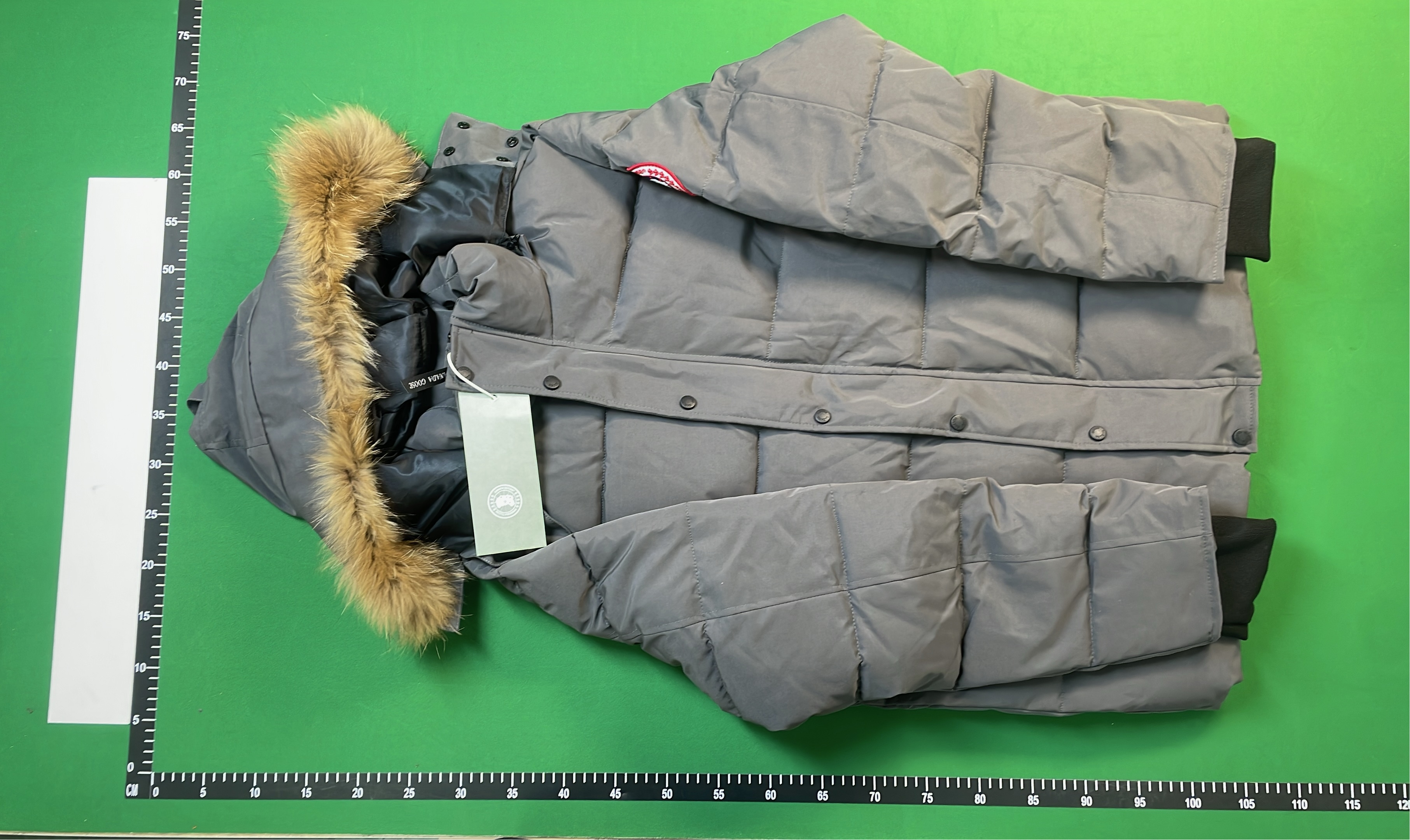 Canada Goose Down Jackets & Vests for Winter
