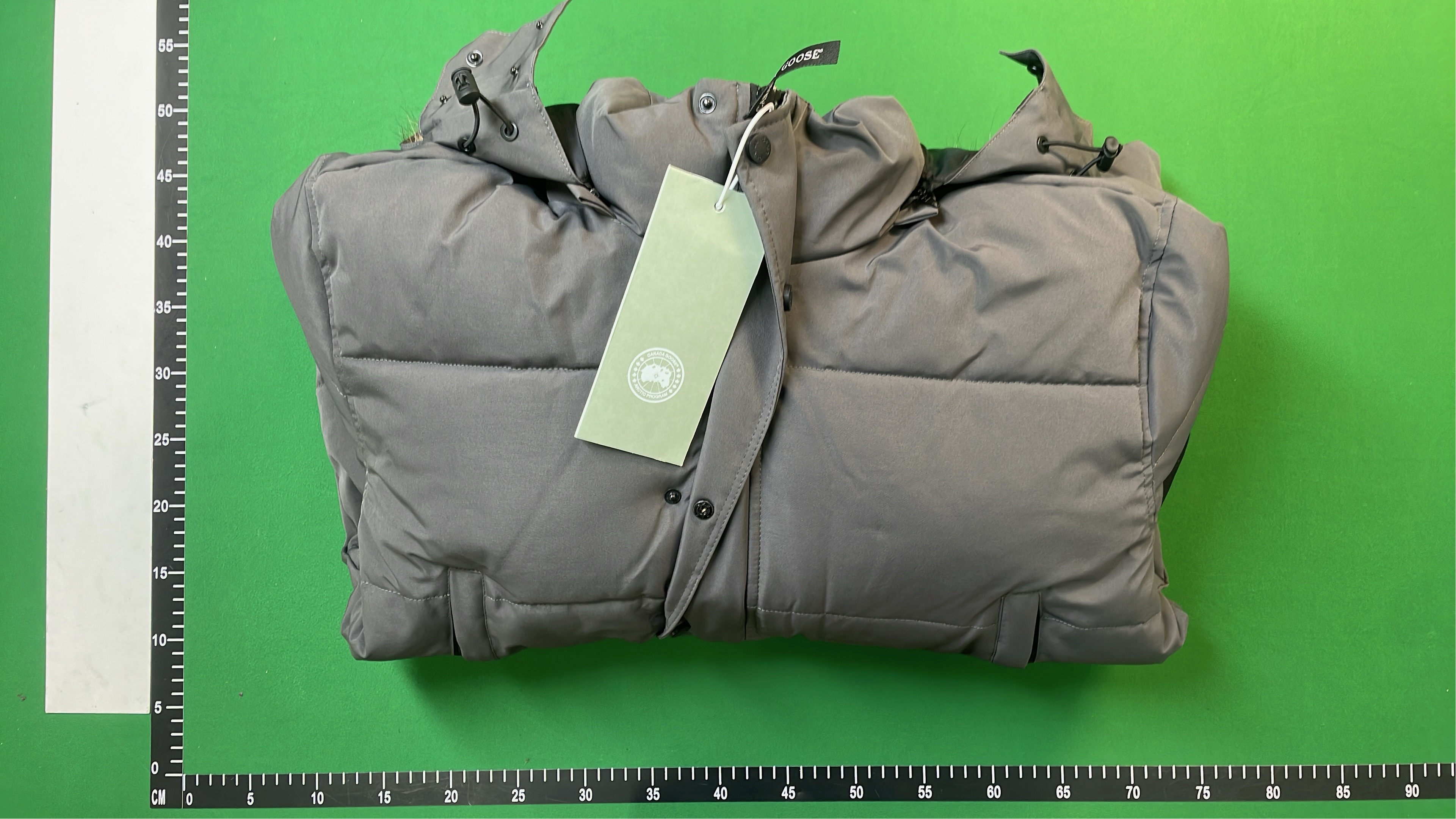 Canada Goose Down Jackets & Vests for Winter