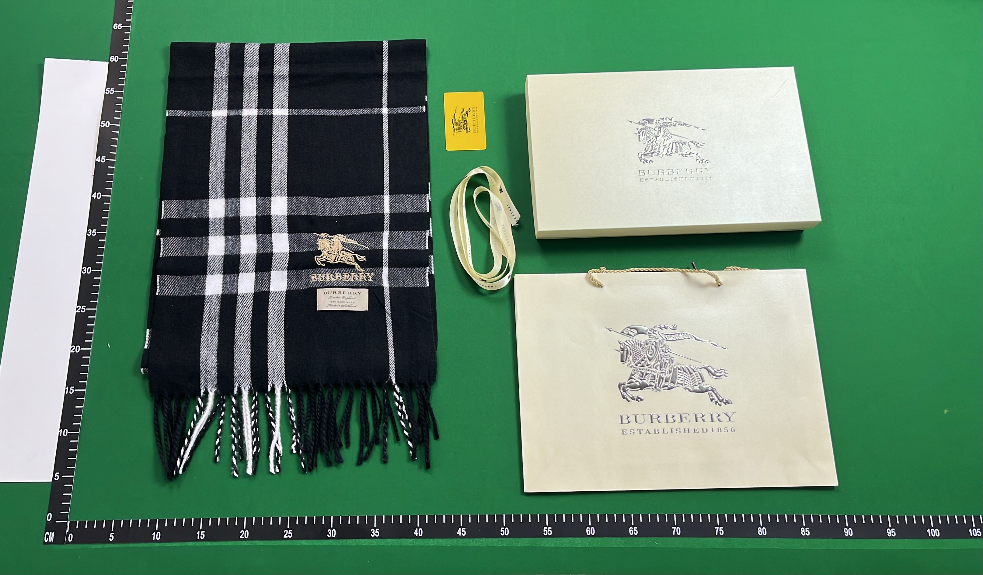 Burberry Classic Check Scarf for Men and Women
