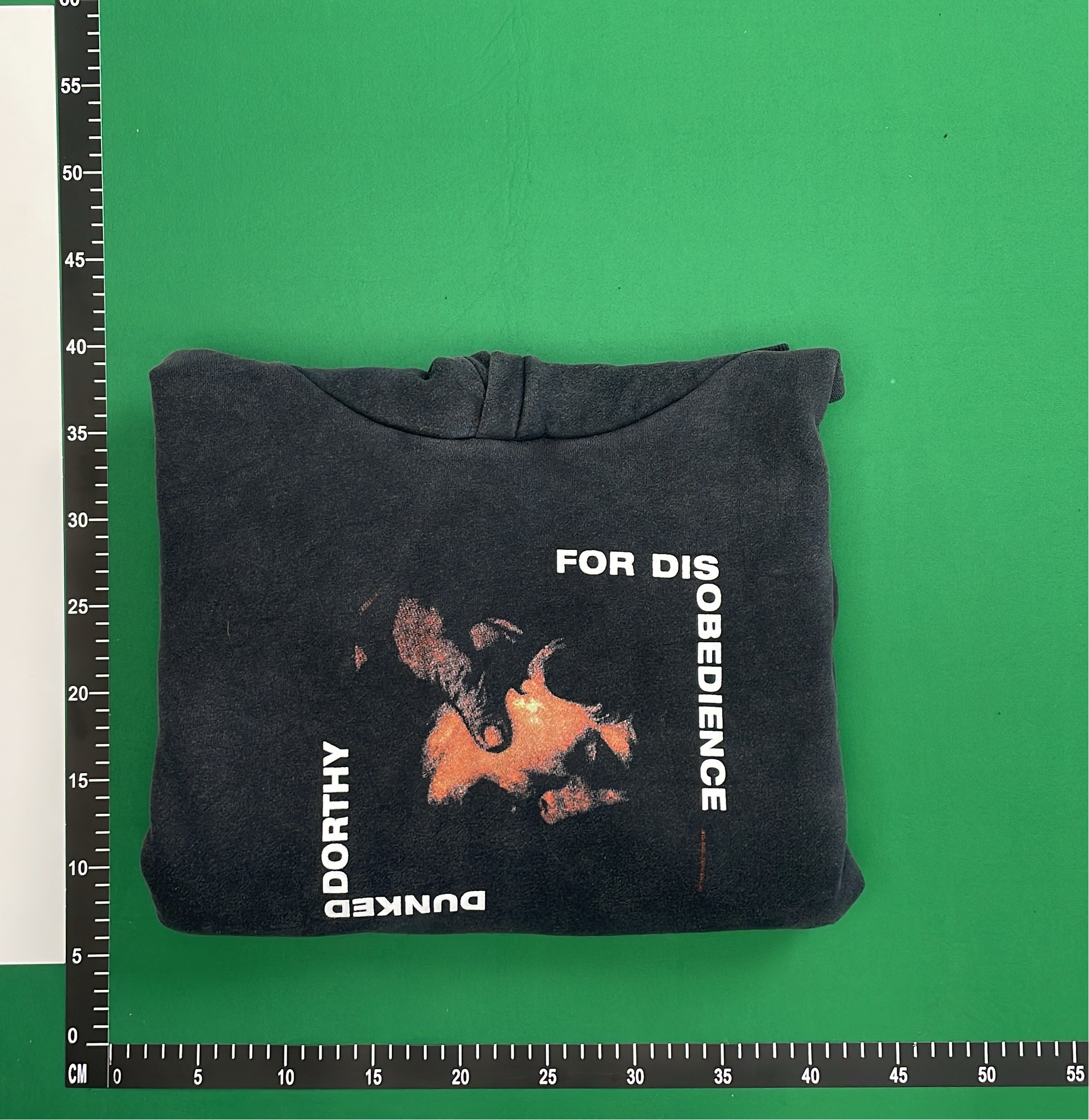 Black Hoodie with Red Logo Design