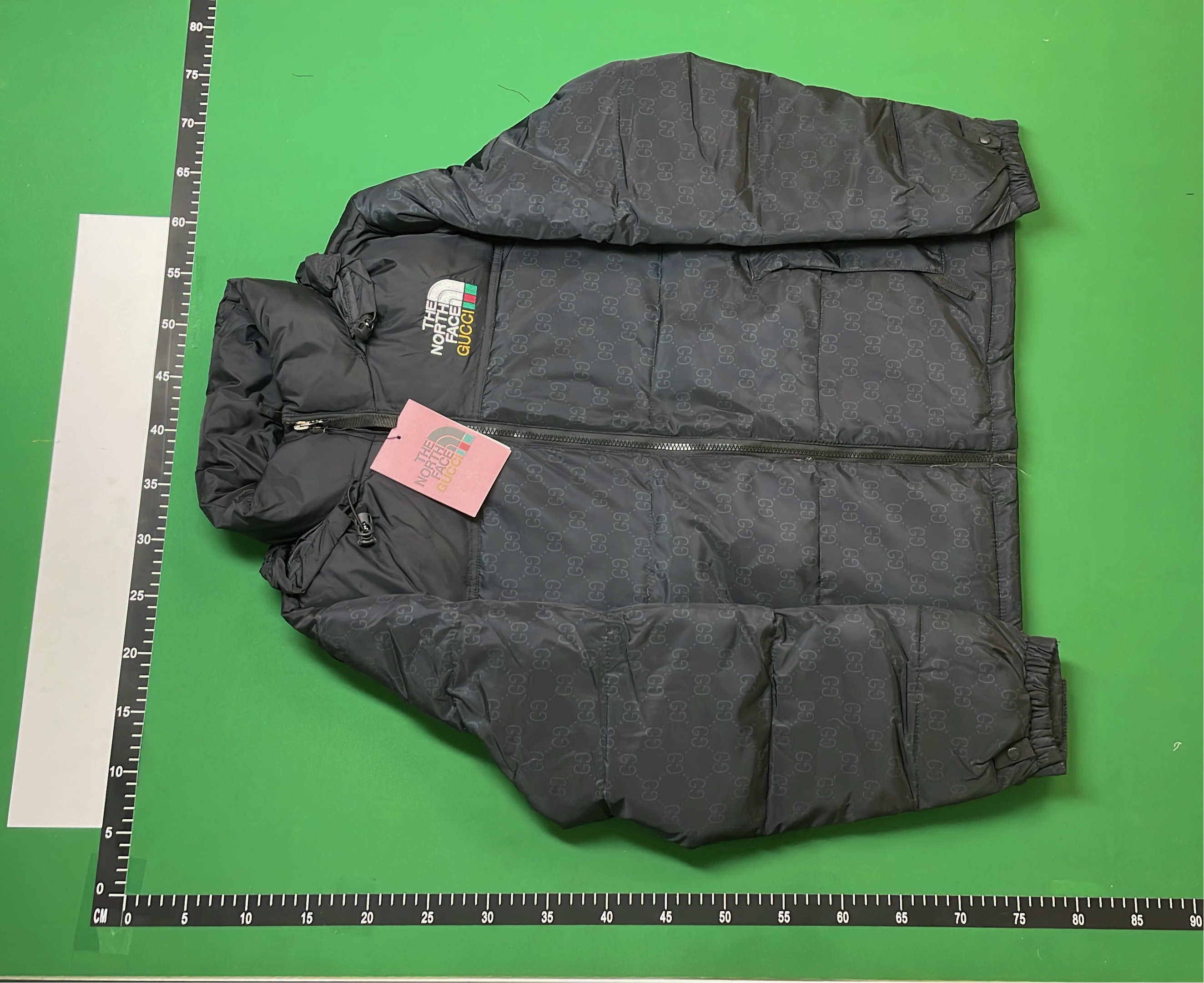 The North Face x Gucci Nuptse Jacket