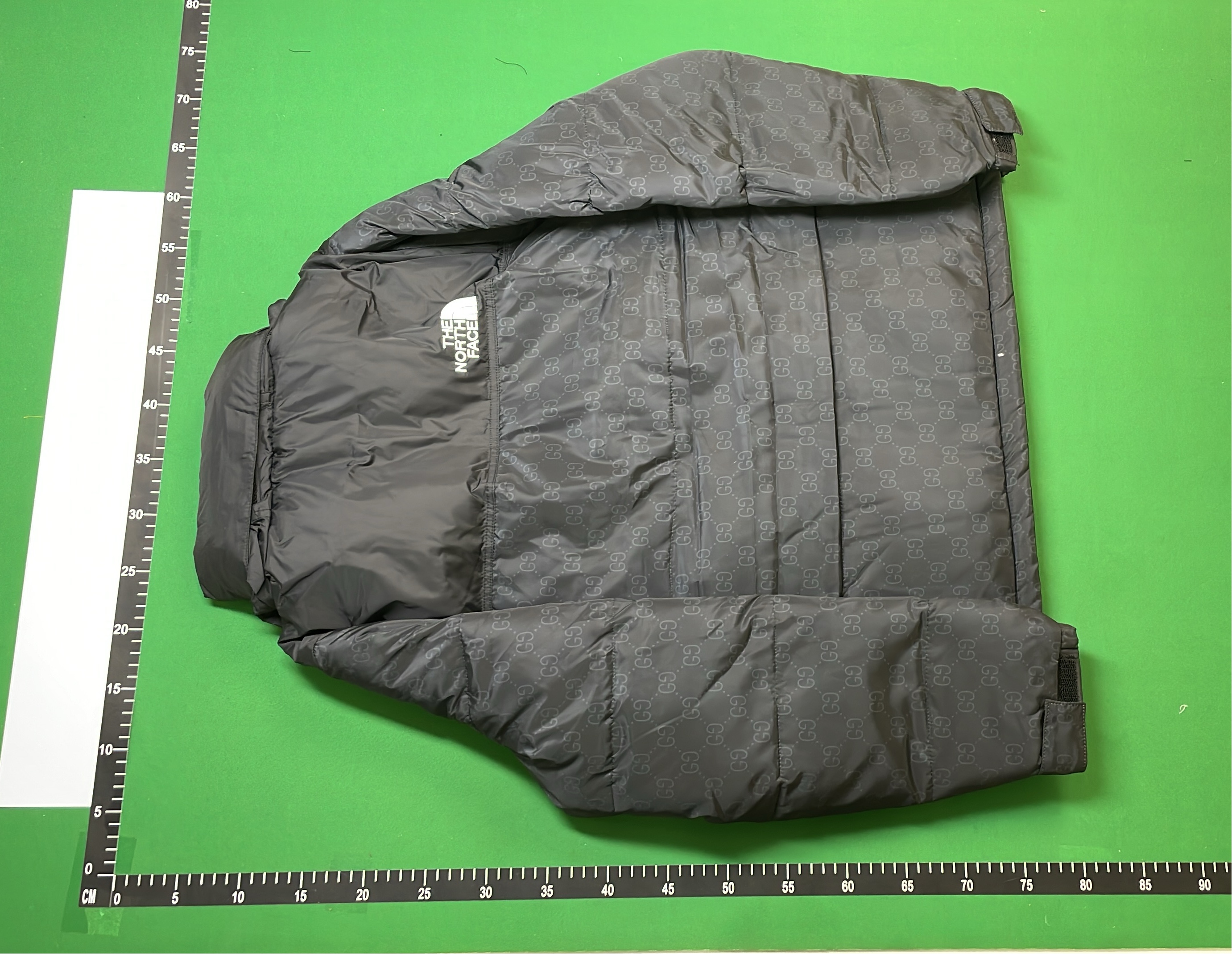 The North Face x Gucci Nuptse Jacket