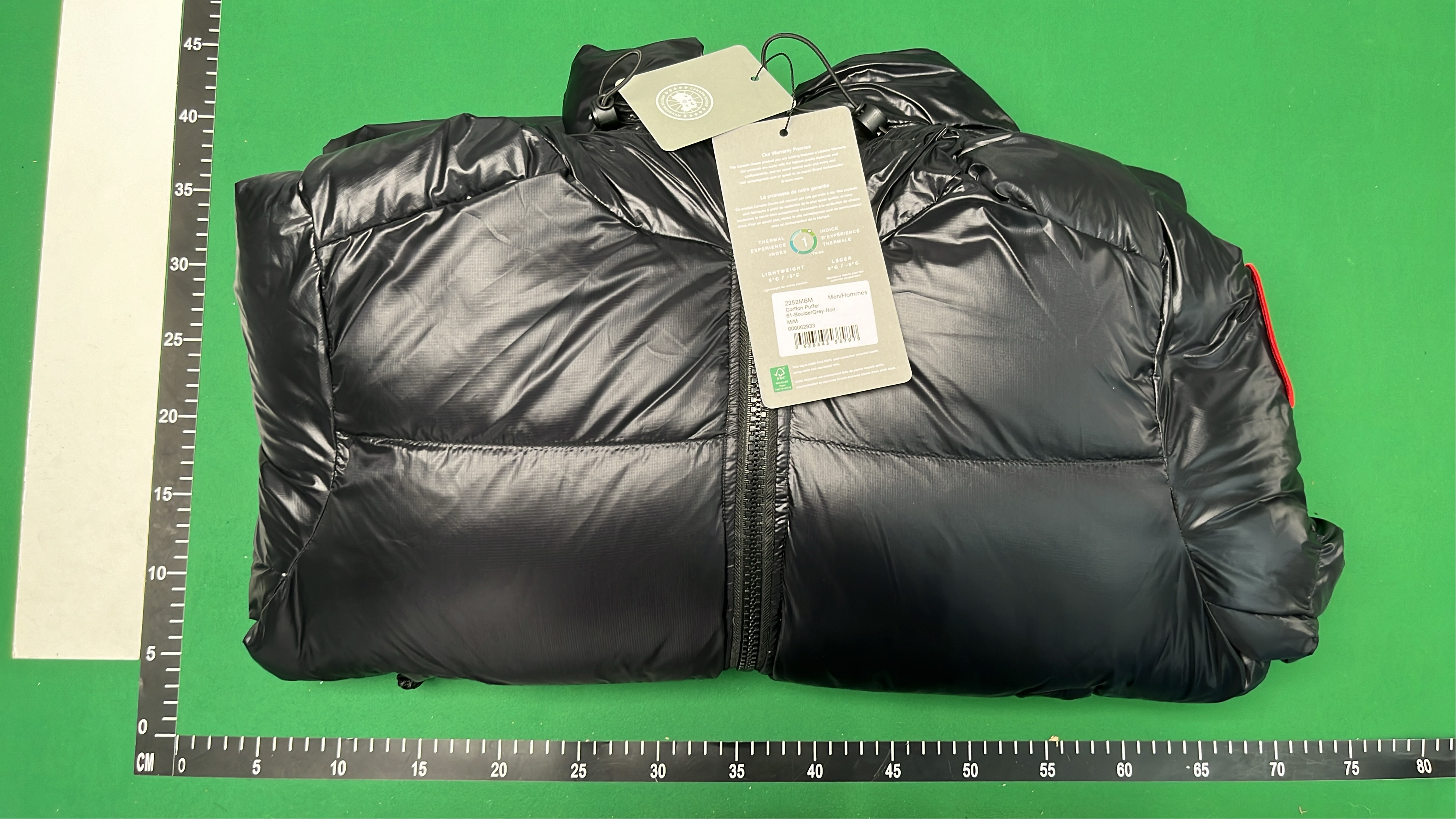 Canada Goose Silver Puffer Jacket with Hood