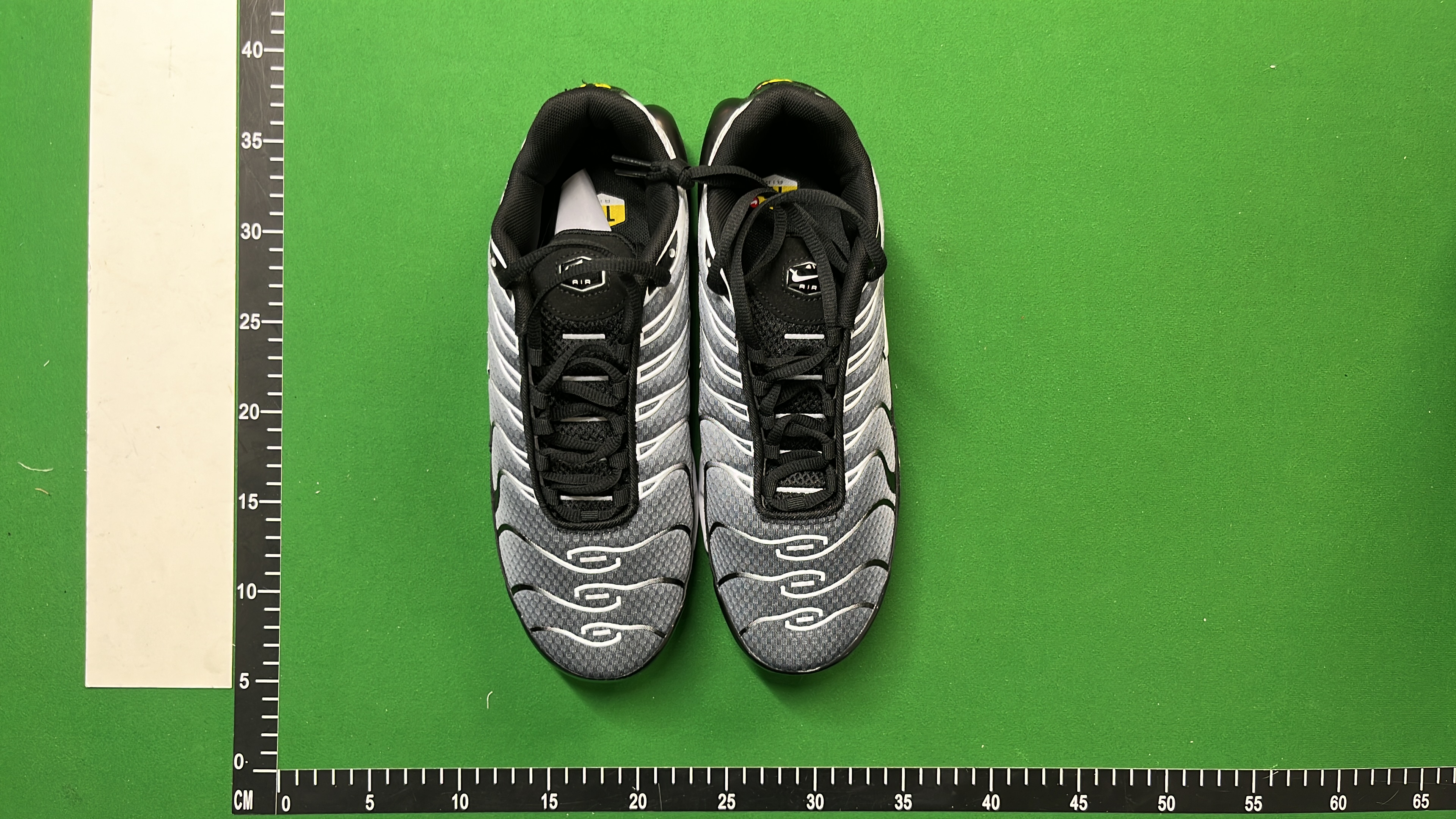 Nike Air Max TN Shoes - Trendy Sneakers for Men and Women