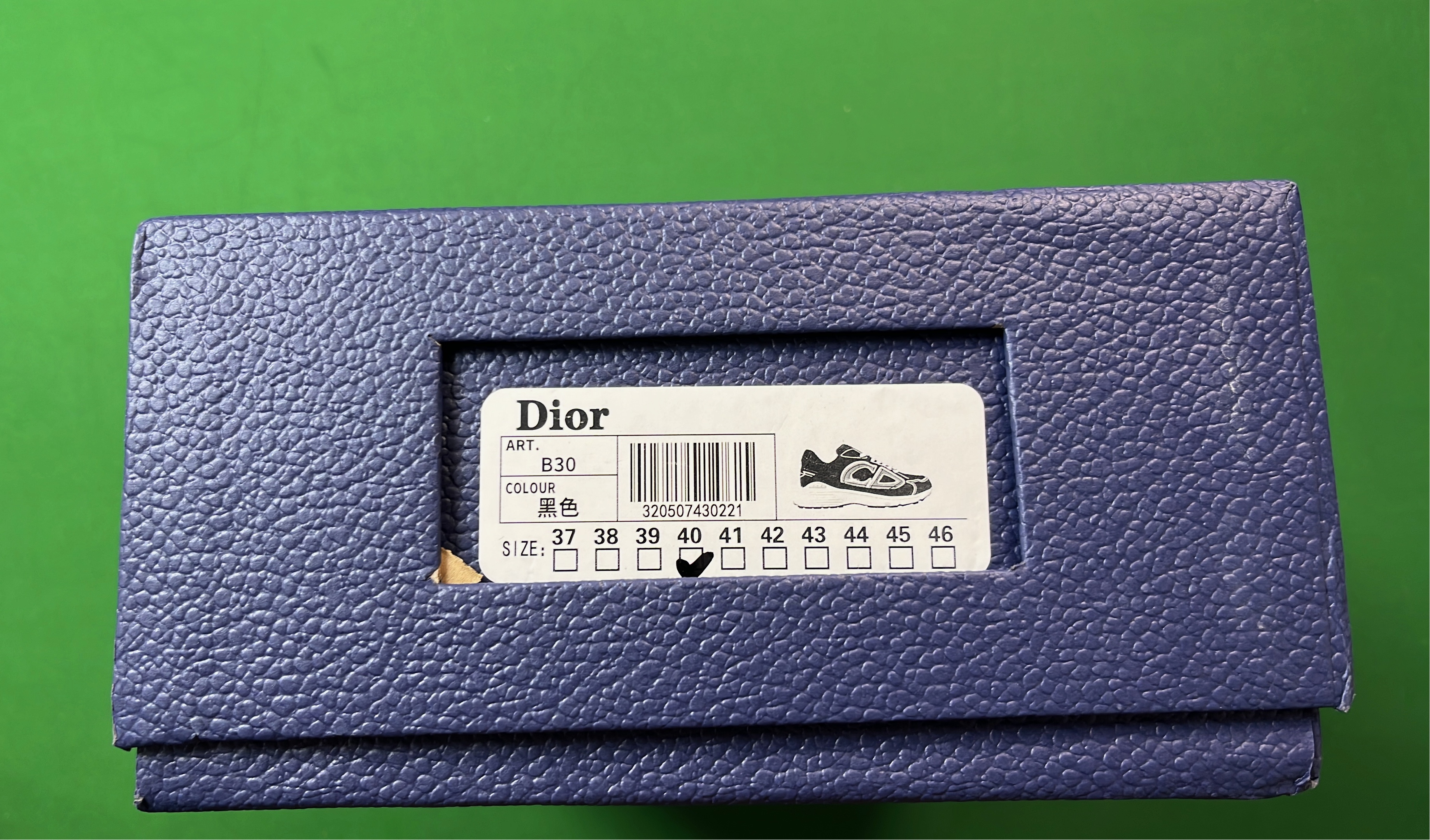 Dior B23 High-Top Sneakers