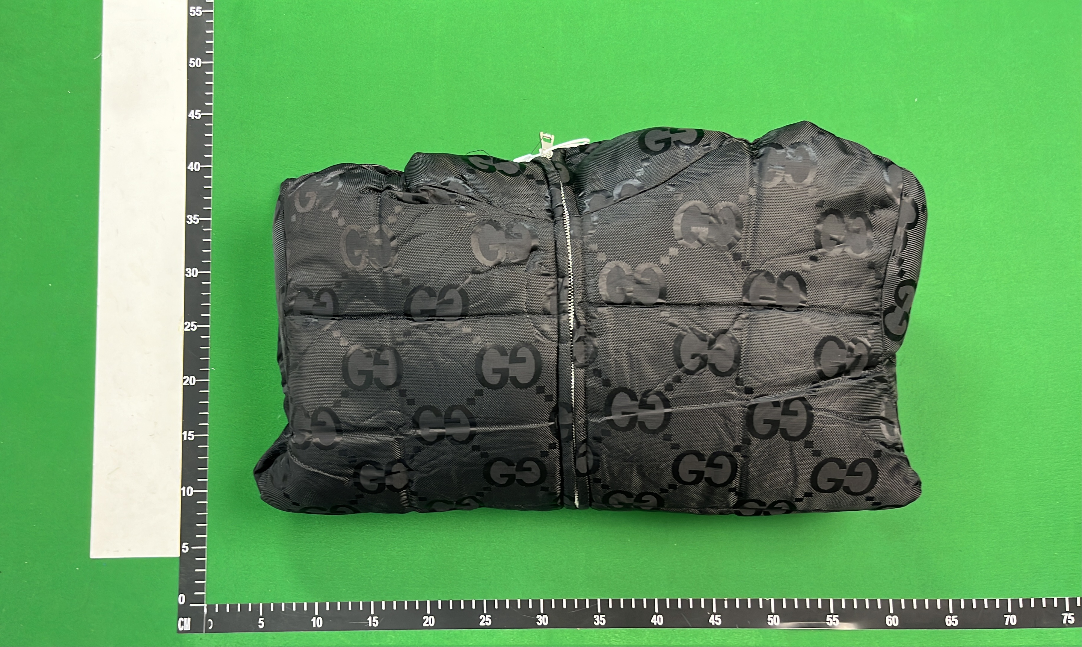 Gucci x The North Face Collaboration Down Jacket