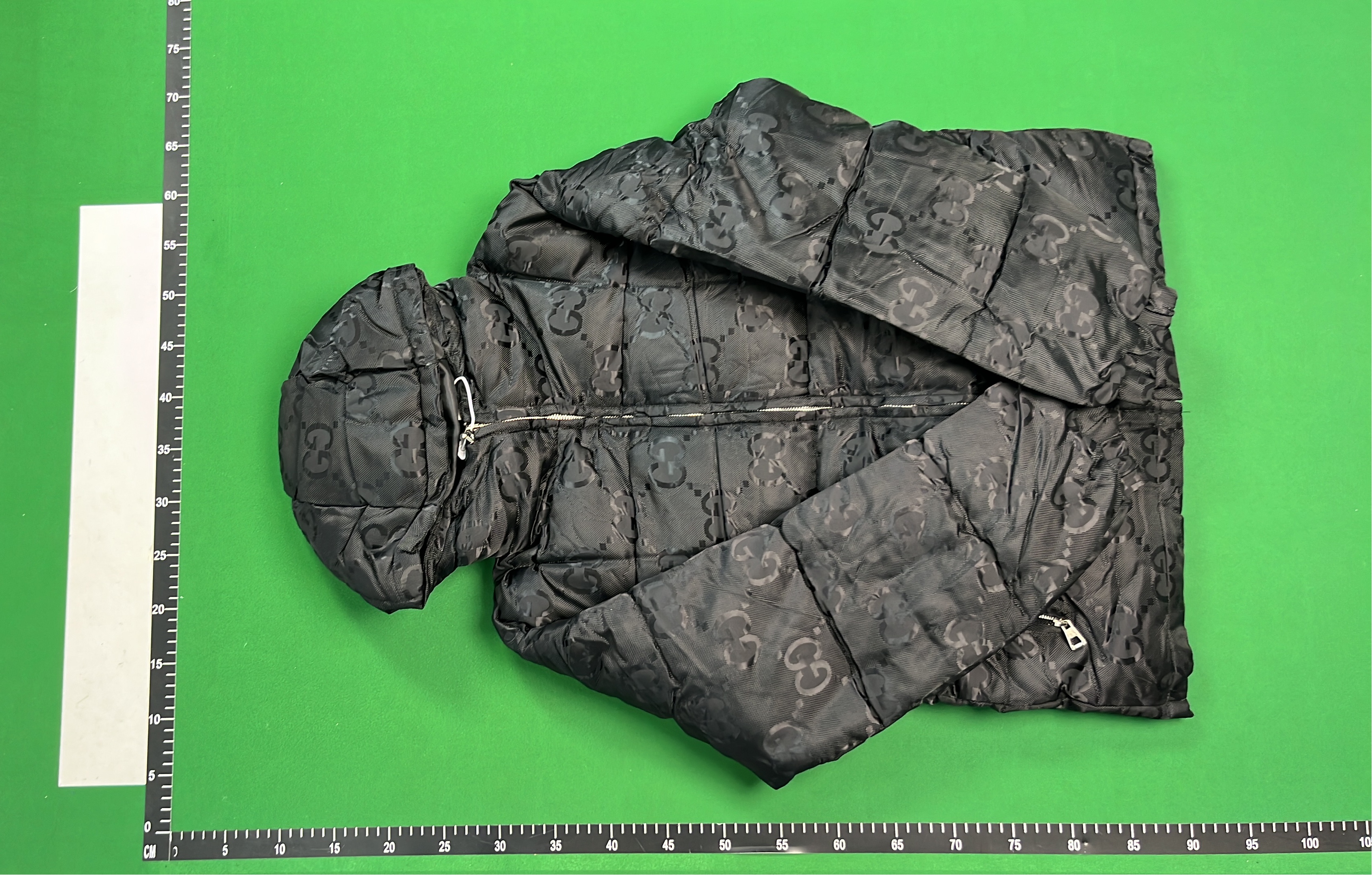 Gucci x The North Face Collaboration Down Jacket