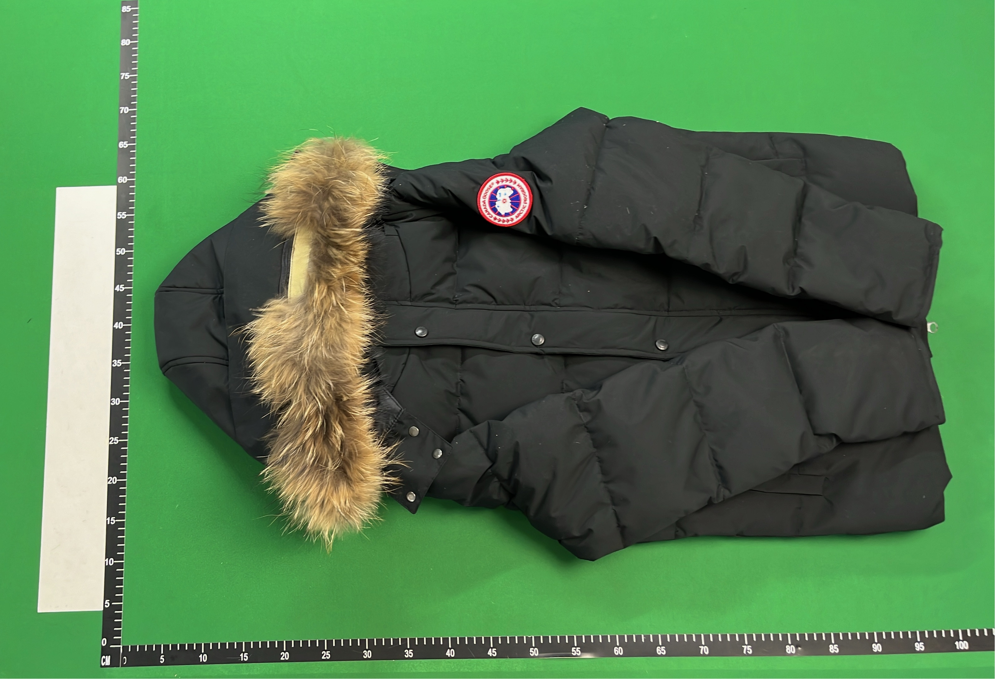 Canada Goose Down Jacket with Fur Trim Hood