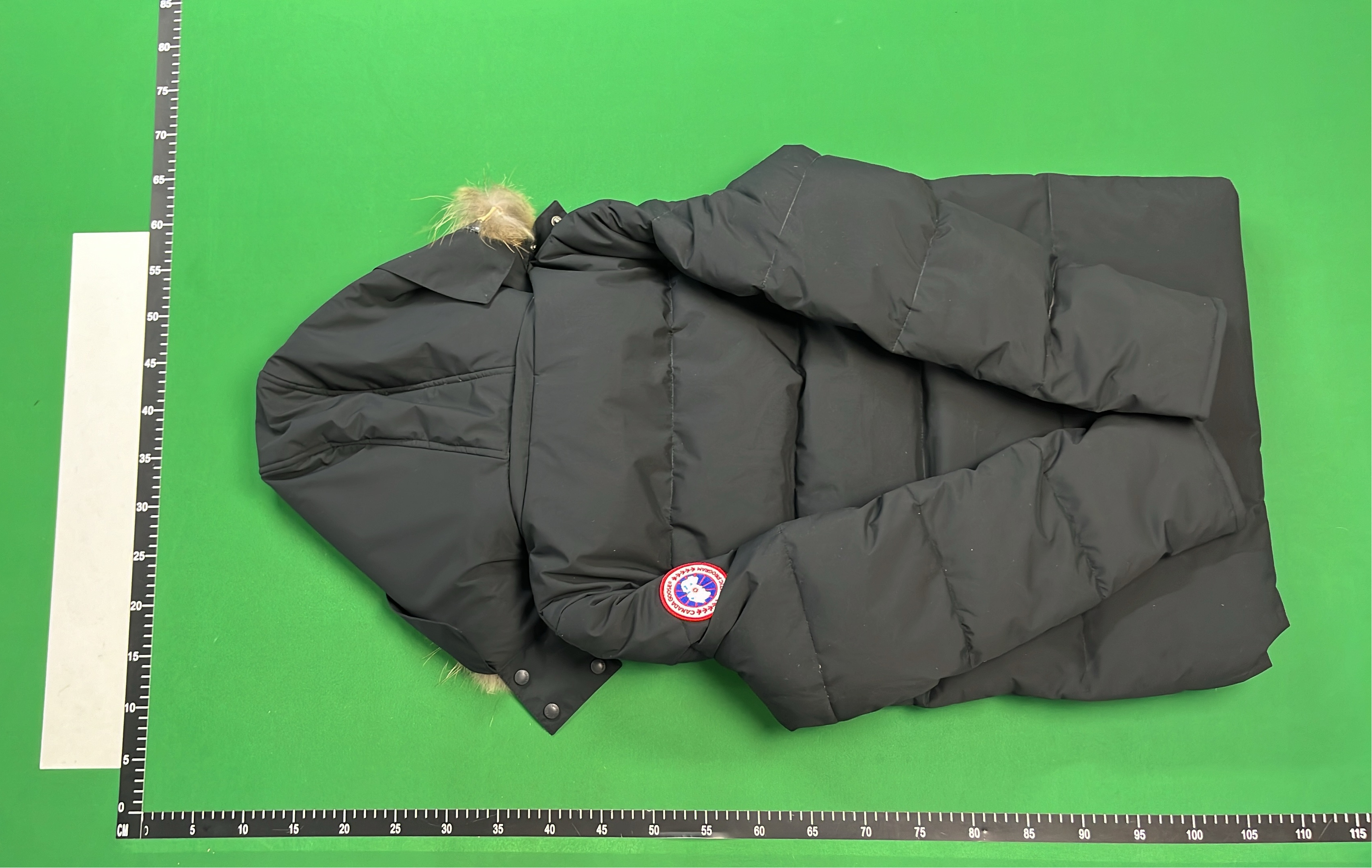 Canada Goose Down Jacket with Fur Trim Hood