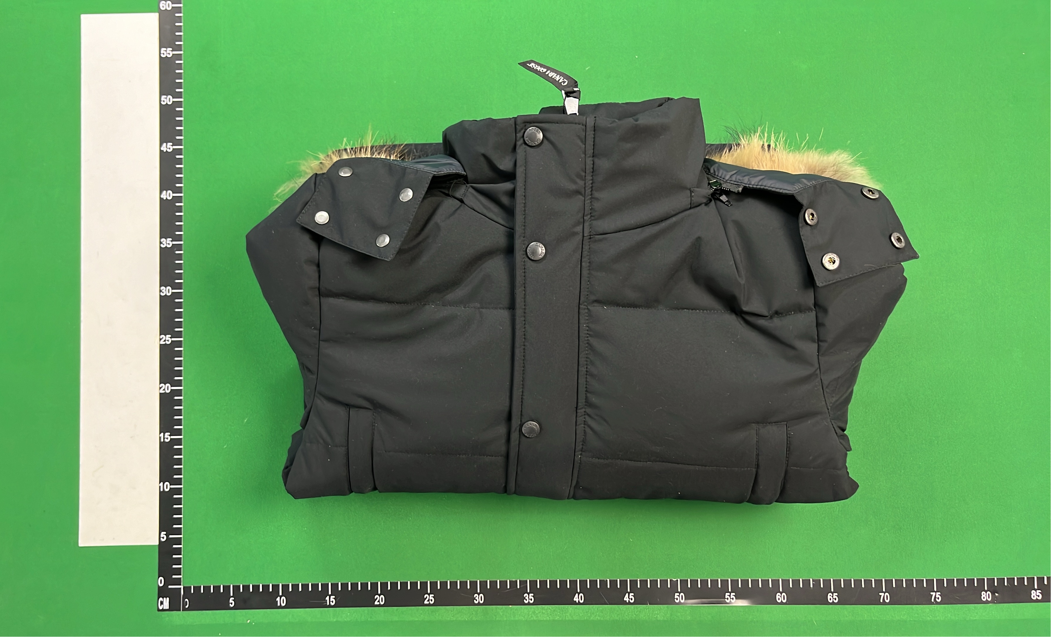 Canada Goose Down Jacket with Fur Trim Hood