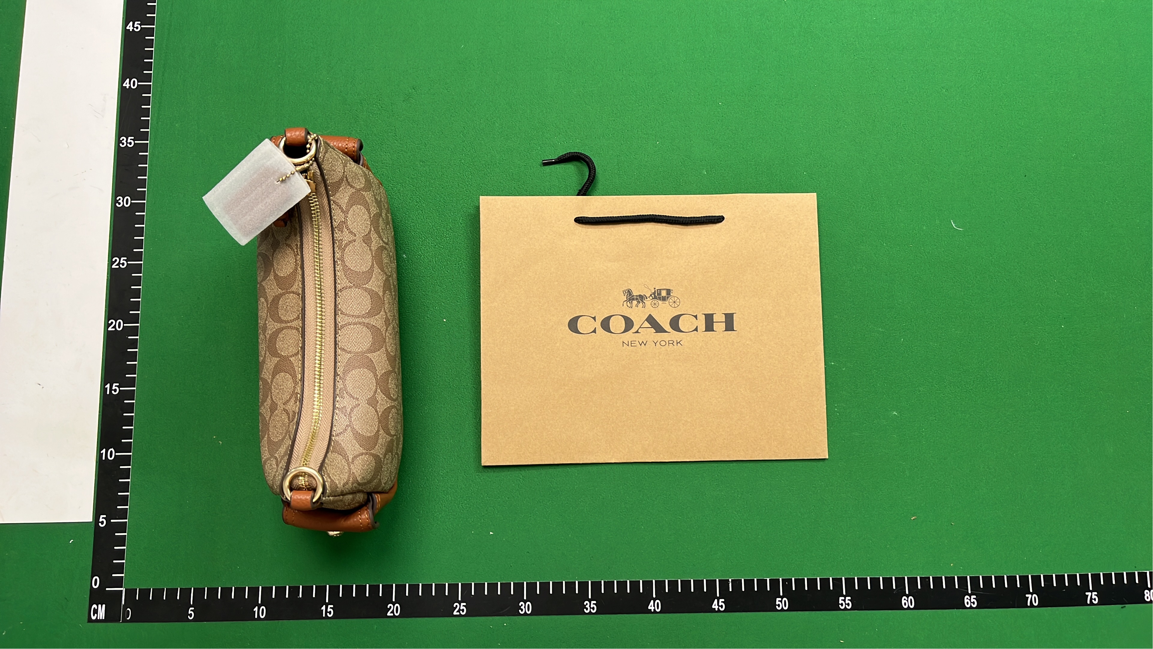 COACH Signature Canvas Hobo Bag