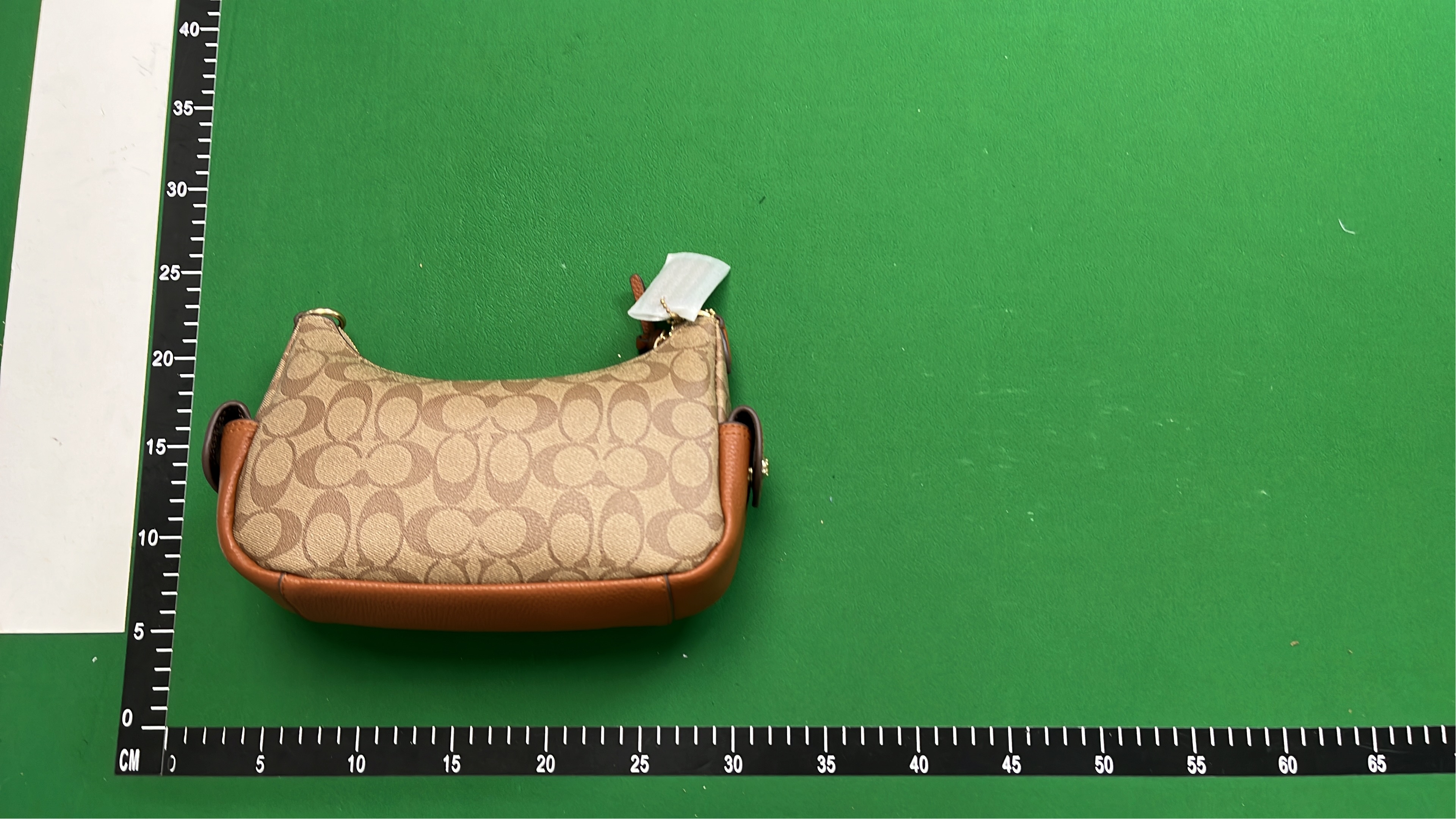 COACH Signature Canvas Hobo Bag