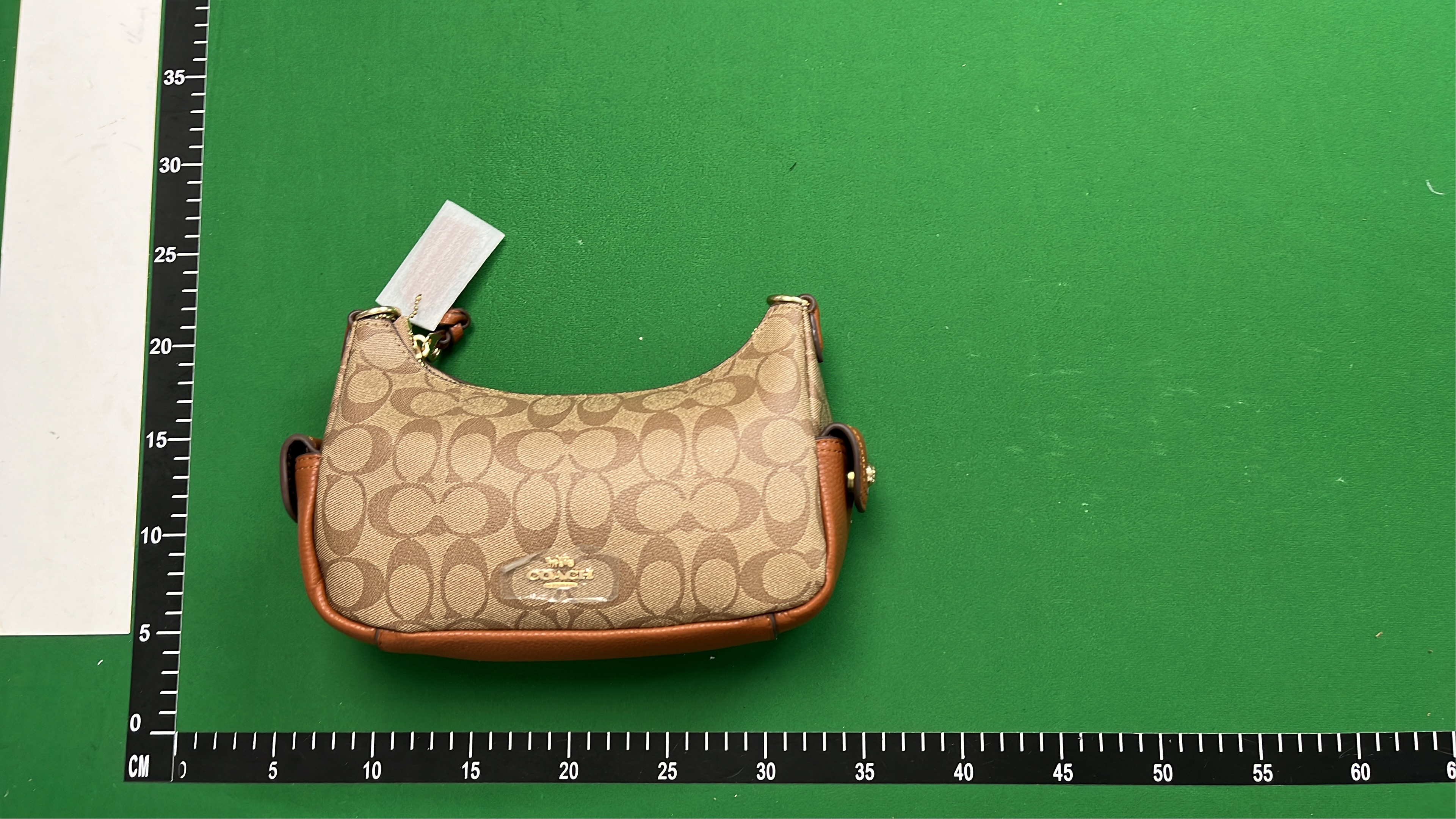 COACH Signature Canvas Hobo Bag