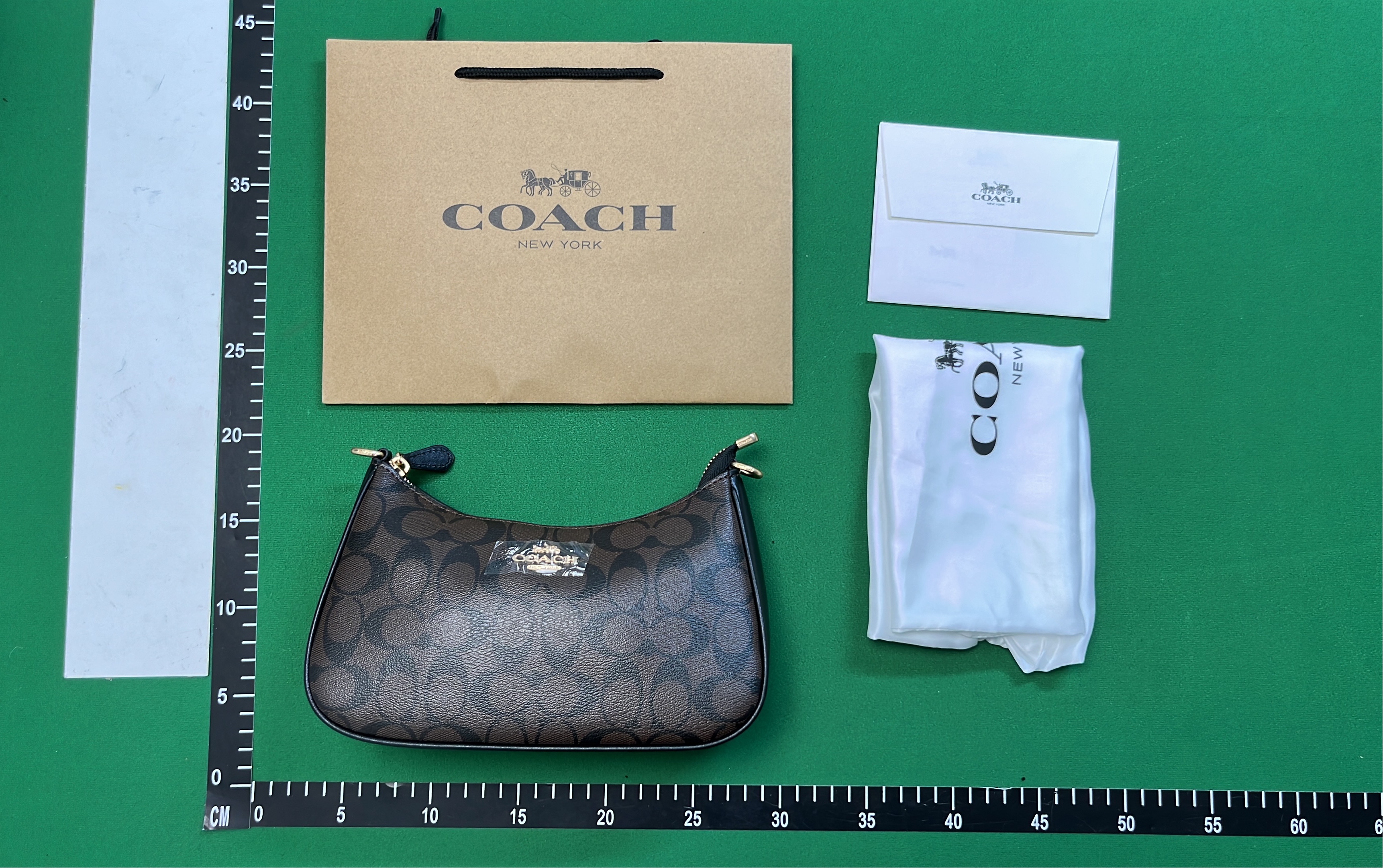 Coach Signature Print Crossbody Bag with Gold Chain Detail