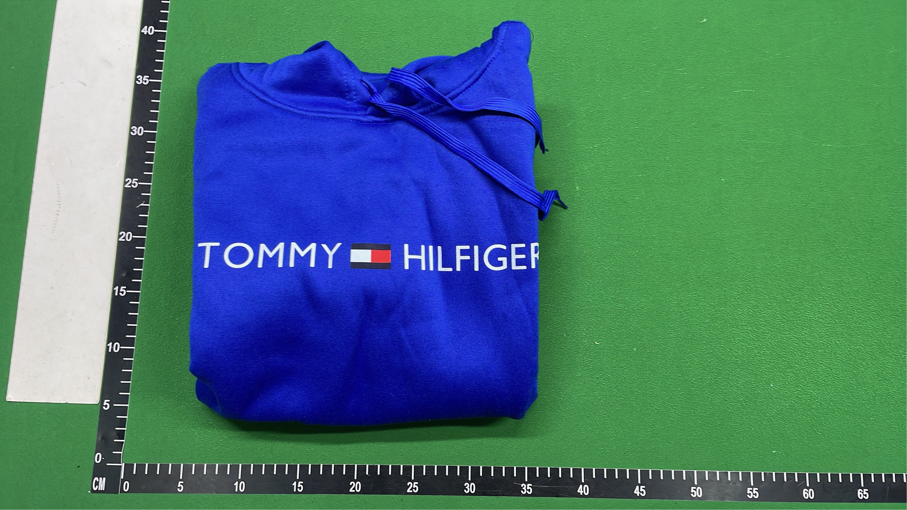 Purple Tommy Hilfiger Hoodie with Logo Print