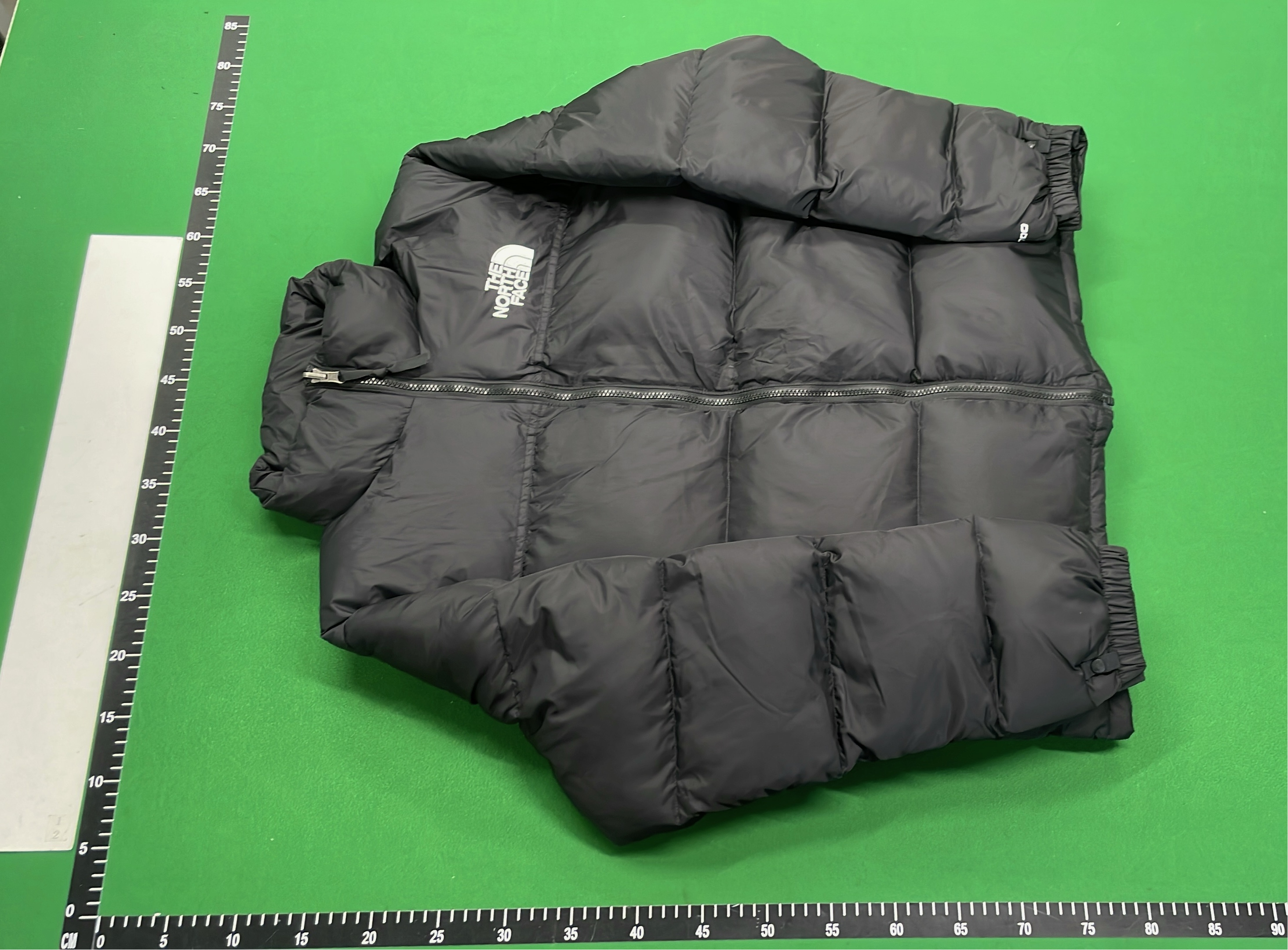 1996 Nuptse Jacket in Multiple Colors - Men's Winter Puffer Coat