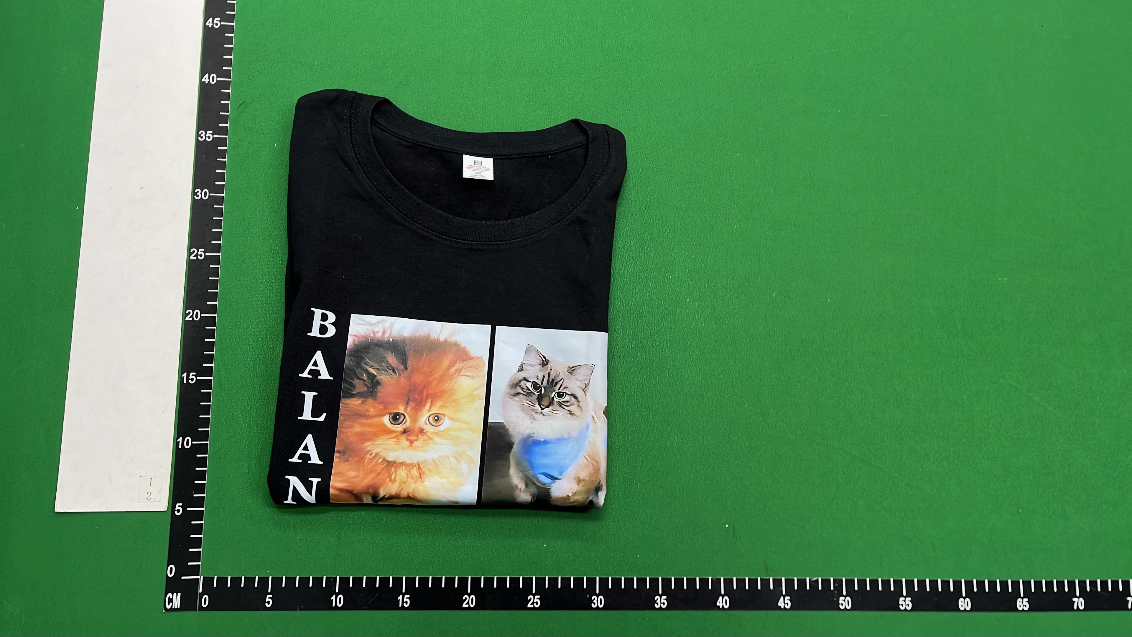 Pink Cat Print T-Shirt with Fun Design