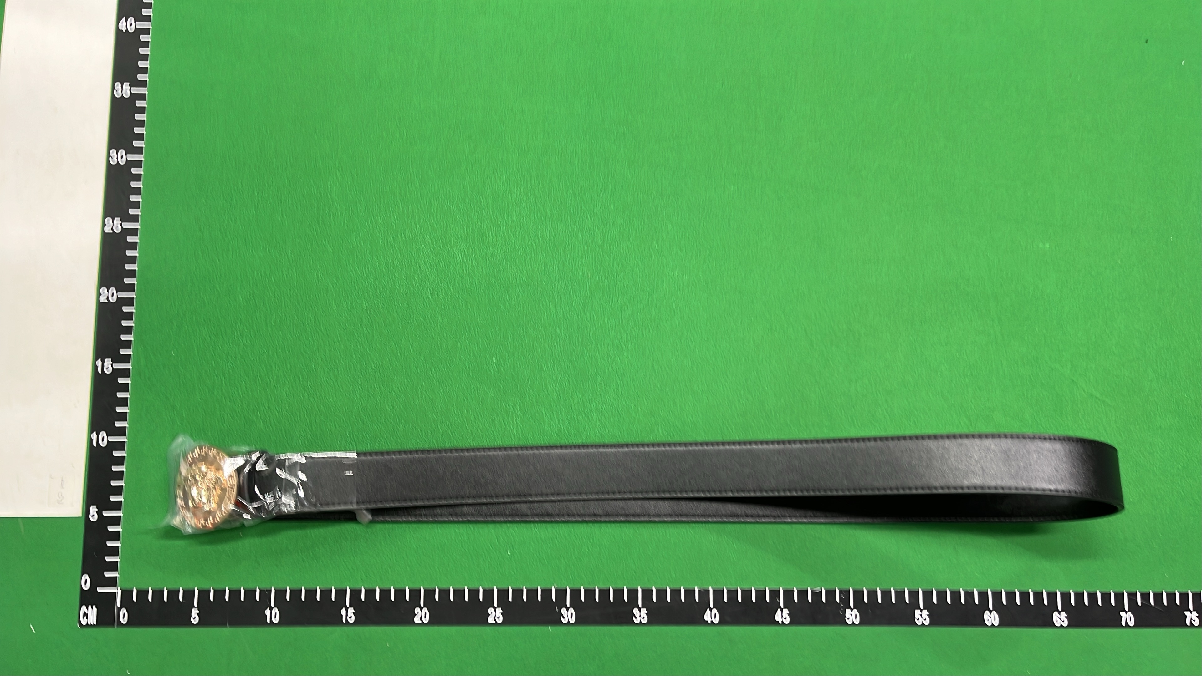 Versace Medusa Head Belt for Men and Women